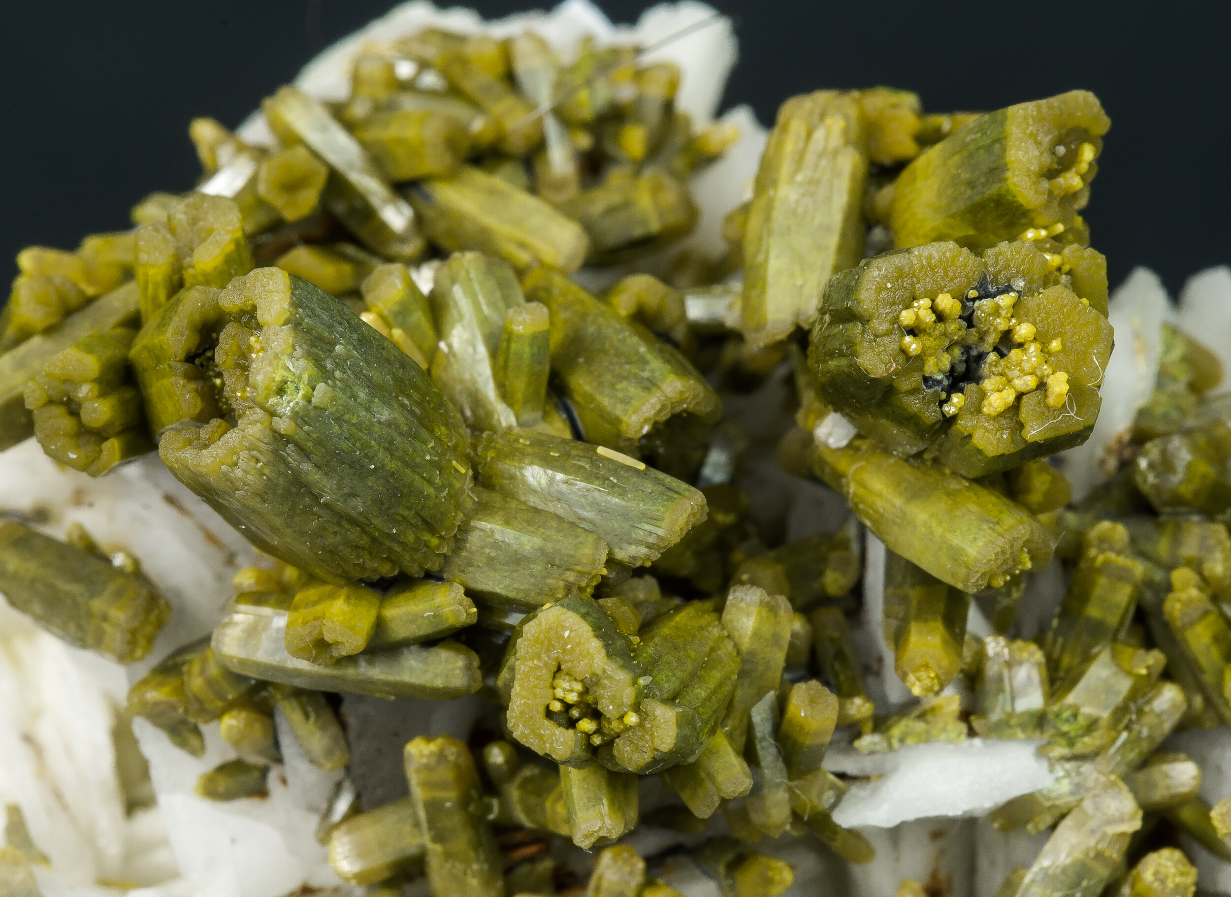 specimens/s_imagesAO0/Pyromorphite-EBR99AO0d.jpg