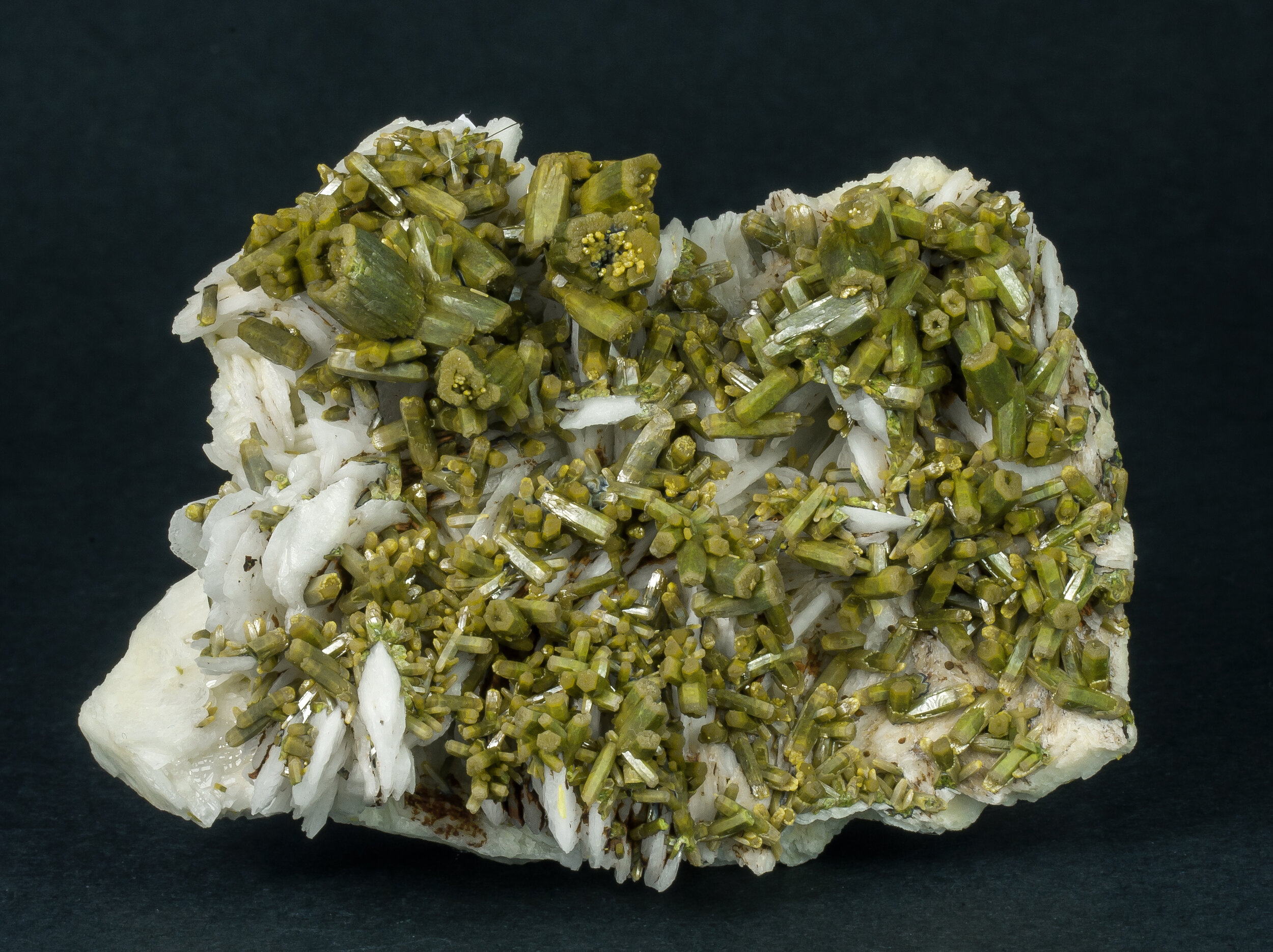 specimens/s_imagesAO0/Pyromorphite-EBR99AO0f.jpg