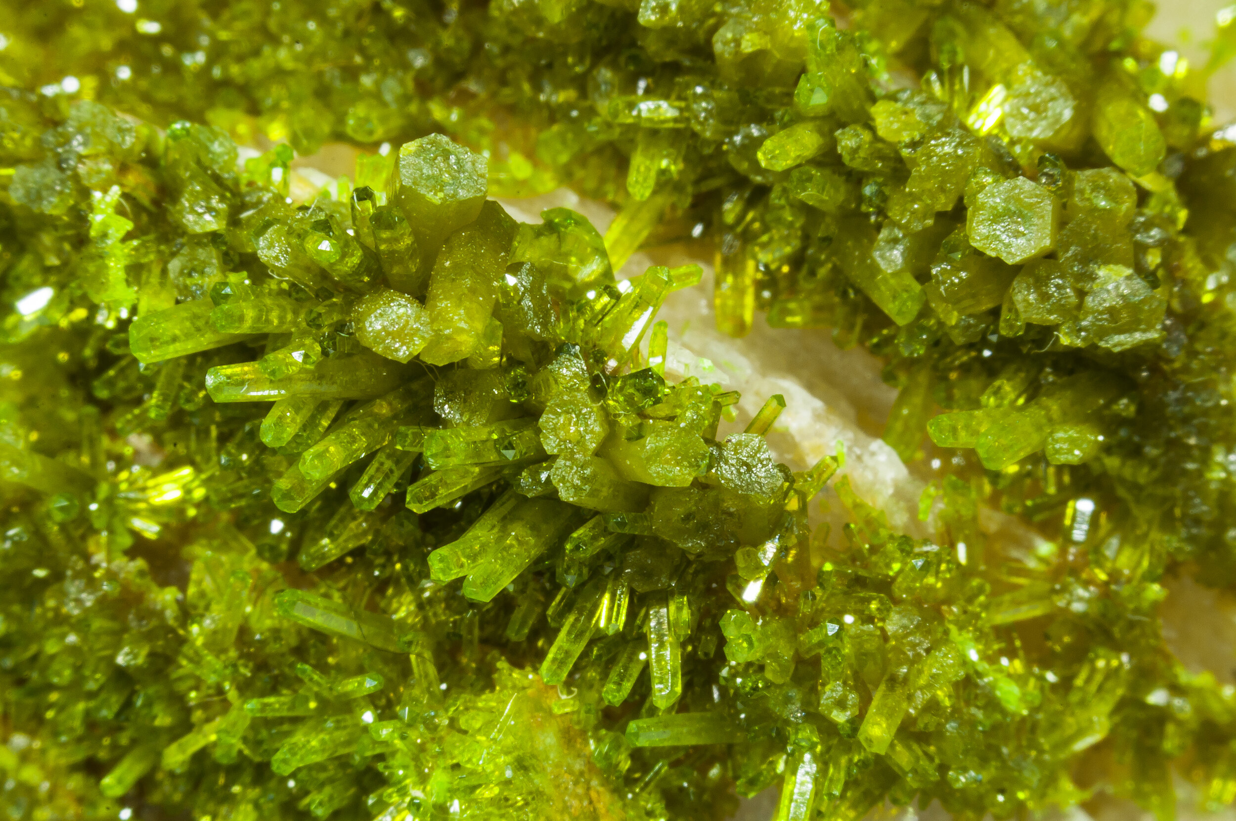 specimens/s_imagesAO0/Pyromorphite-EJB48AO0d.jpg