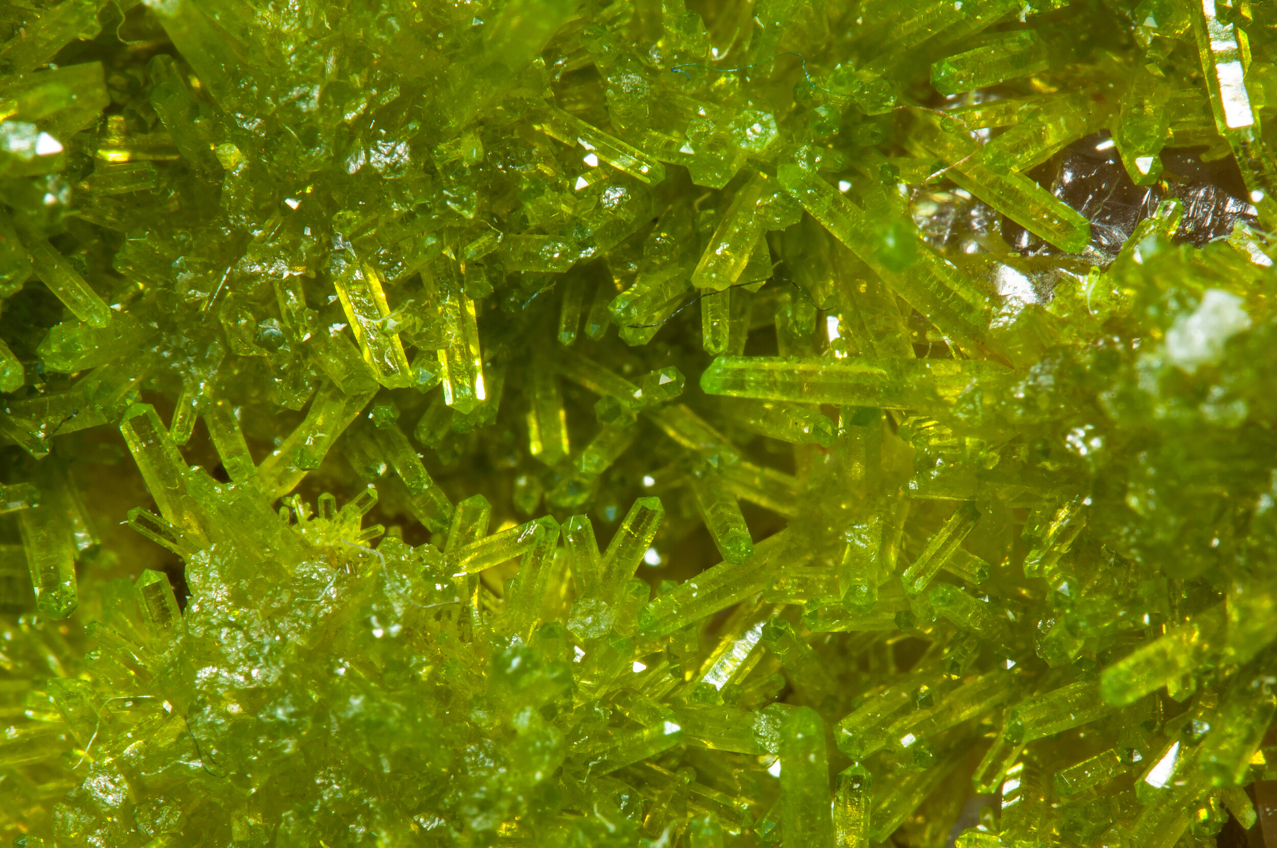 specimens/s_imagesAO0/Pyromorphite-EXM57AO0d1.jpg
