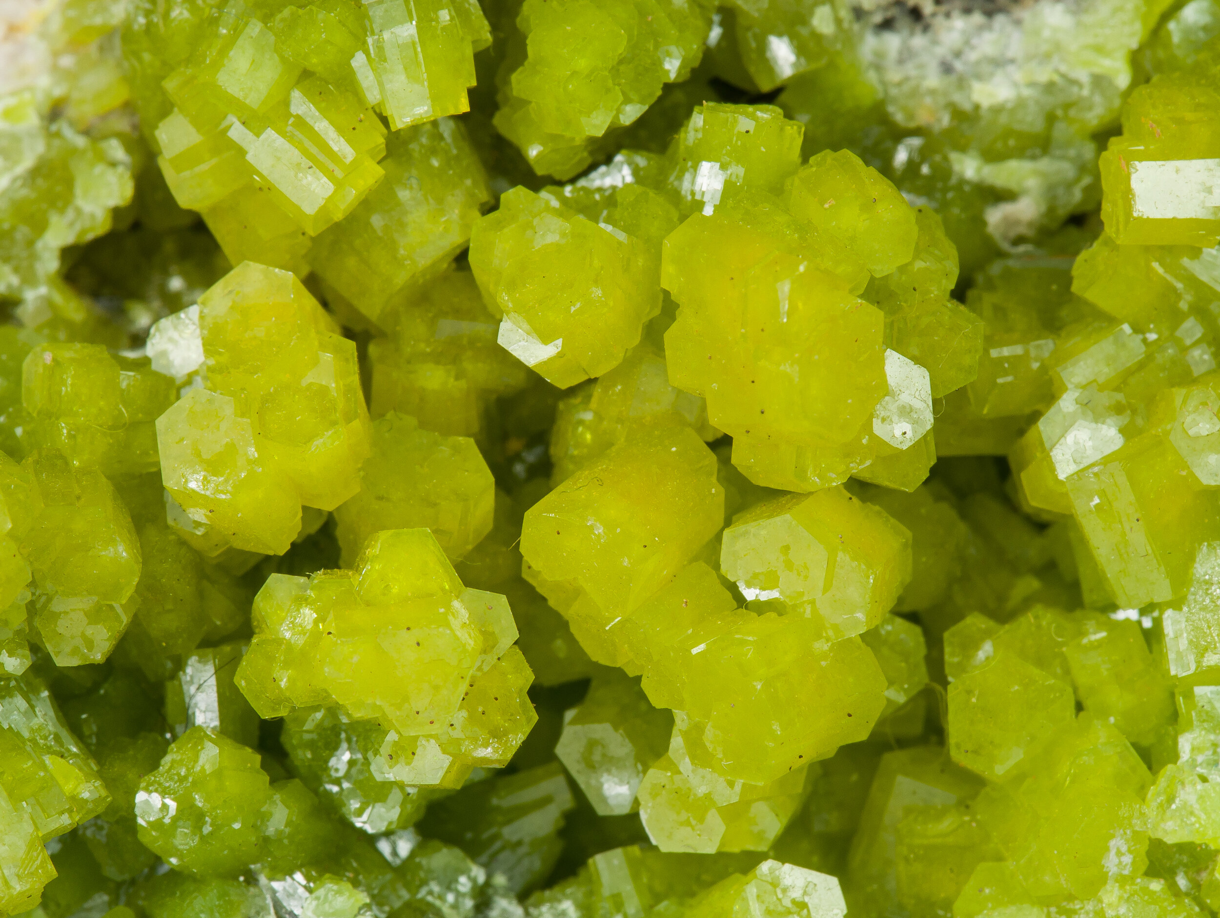 specimens/s_imagesAO0/Pyromorphite-JFD66AO0d.jpg