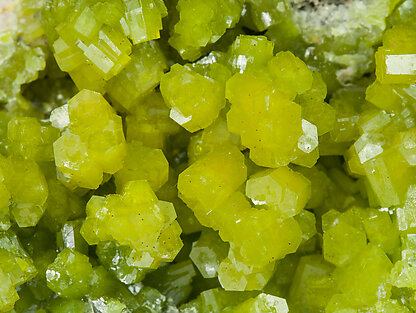 Pyromorphite. 