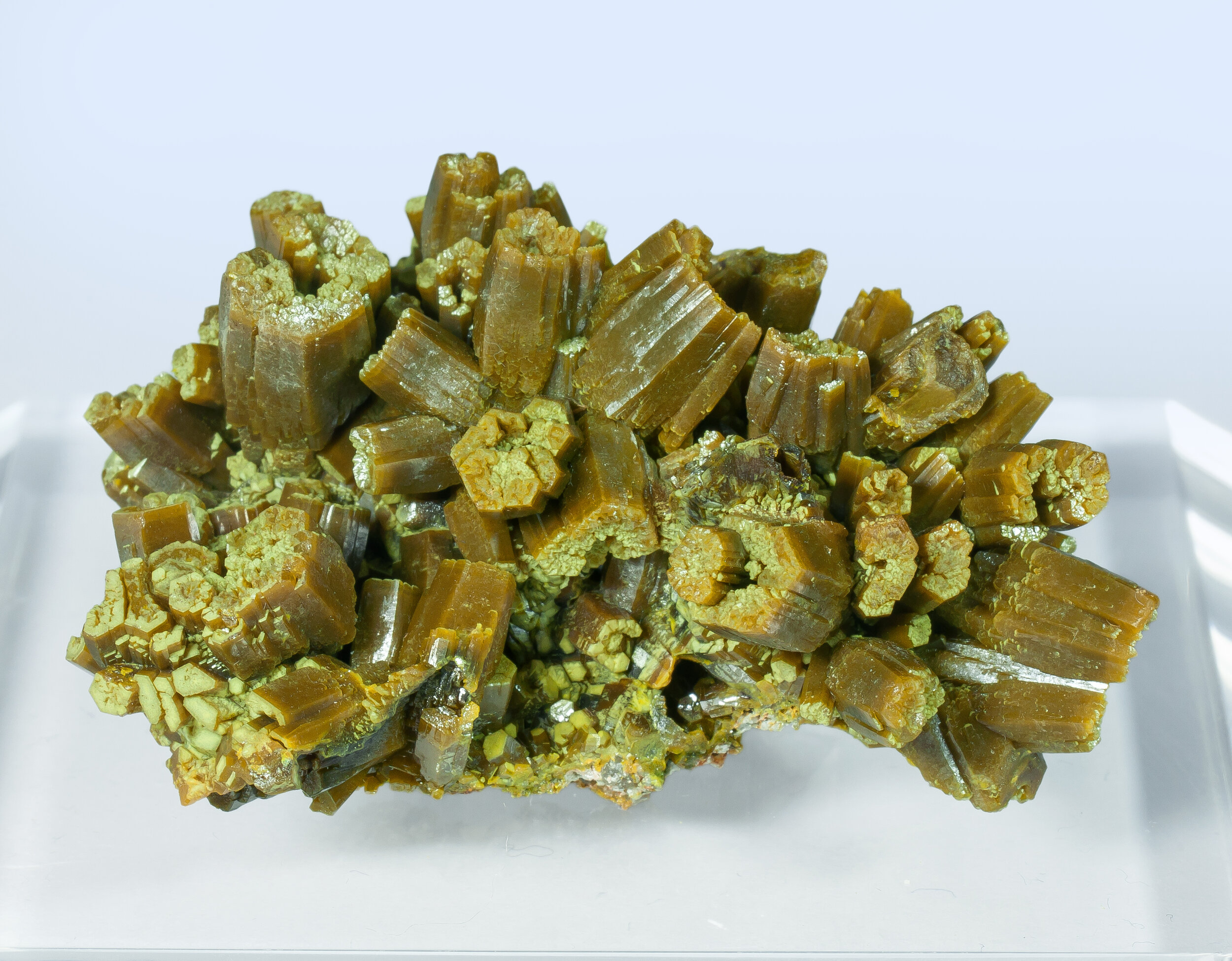 specimens/s_imagesAO0/Pyromorphite-JFD79AO0s2.jpg