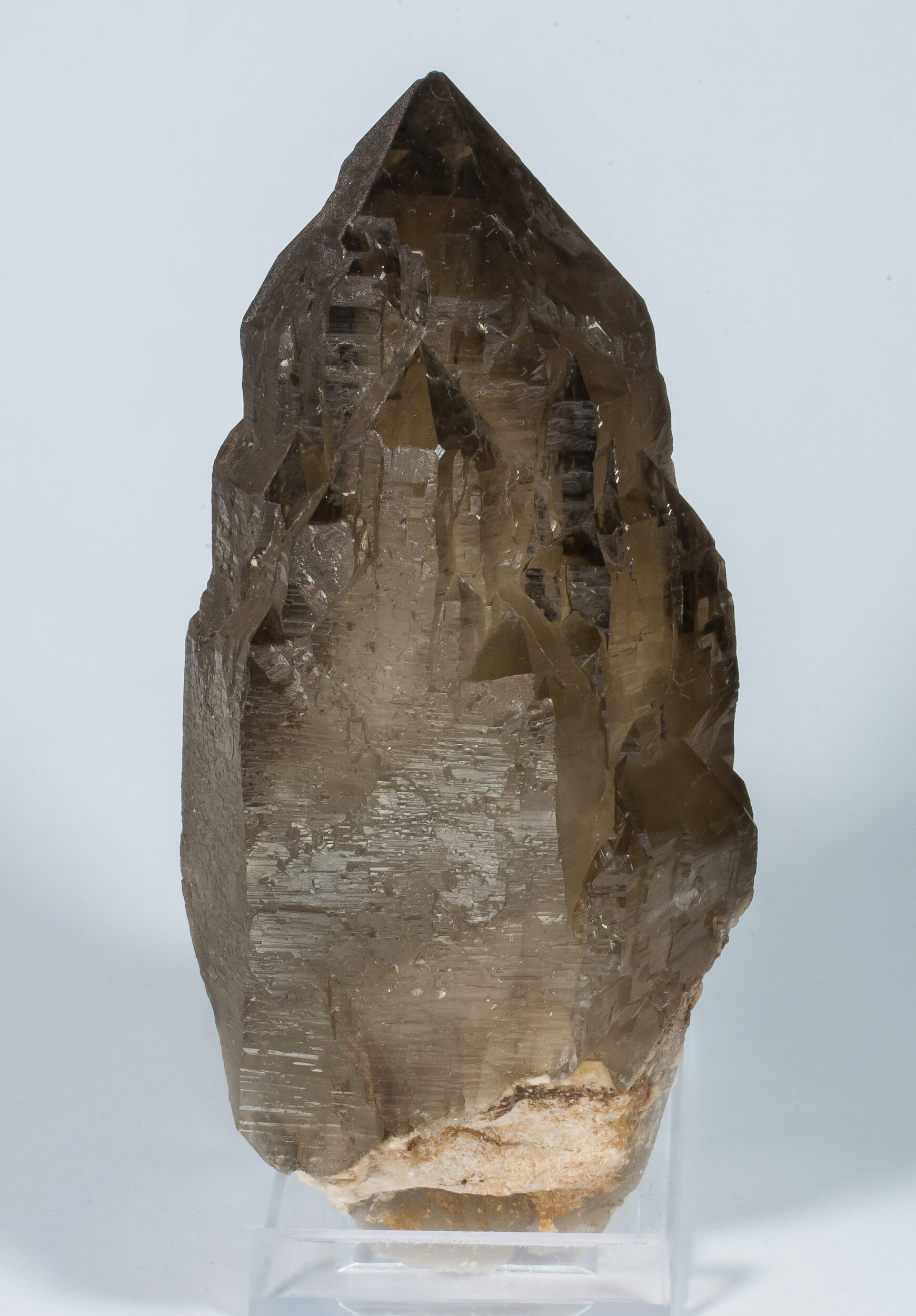 specimens/s_imagesAO0/Quartz-NTM96AO0f.jpg