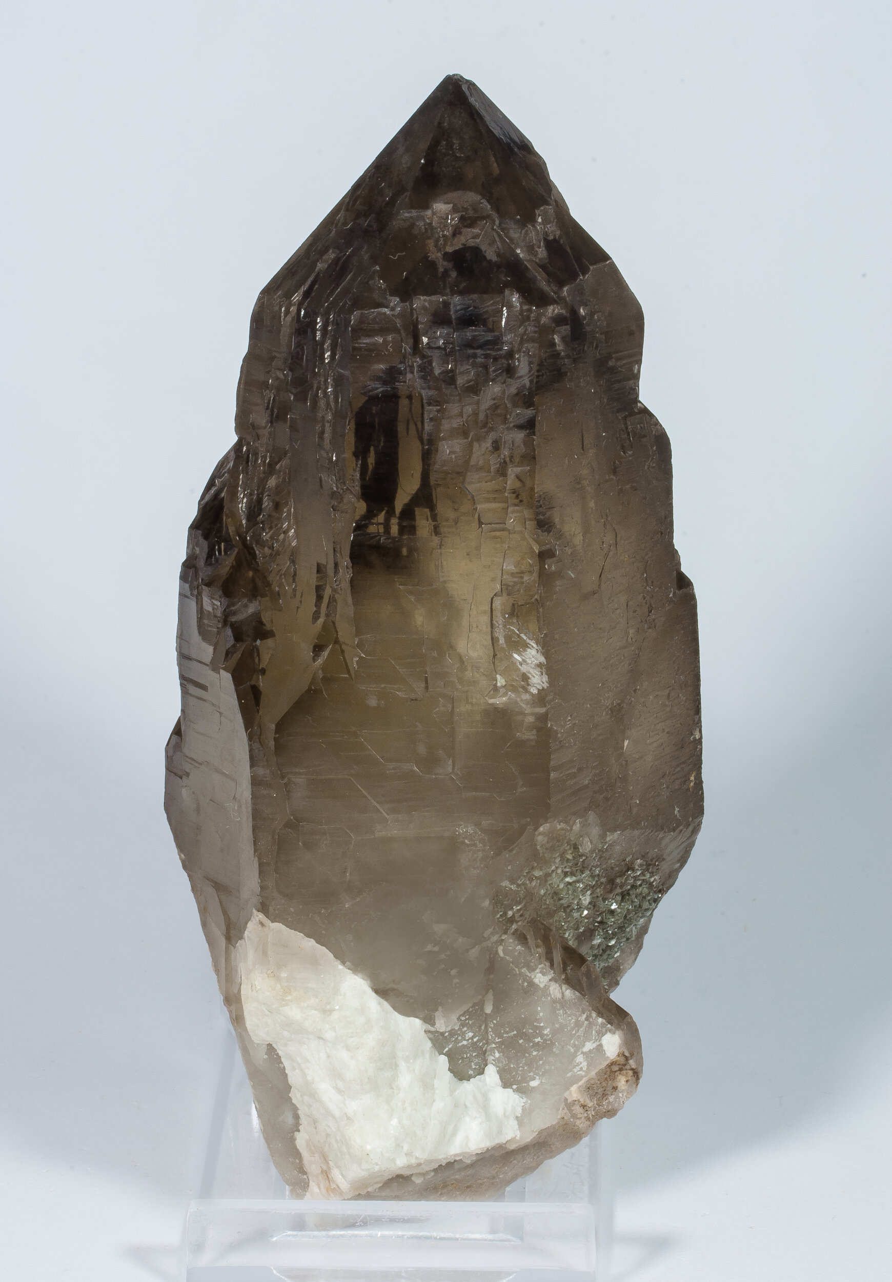 specimens/s_imagesAO0/Quartz-NTM96AO0r.jpg