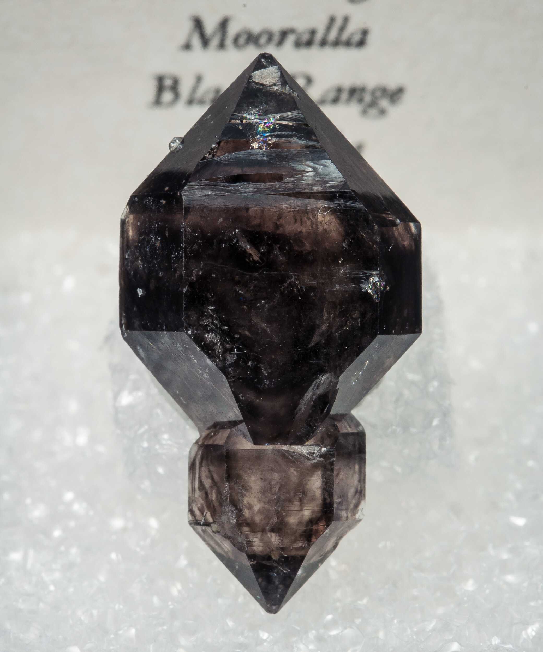 specimens/s_imagesAO0/Quartz_smoky-TZX13AO0f2.jpg