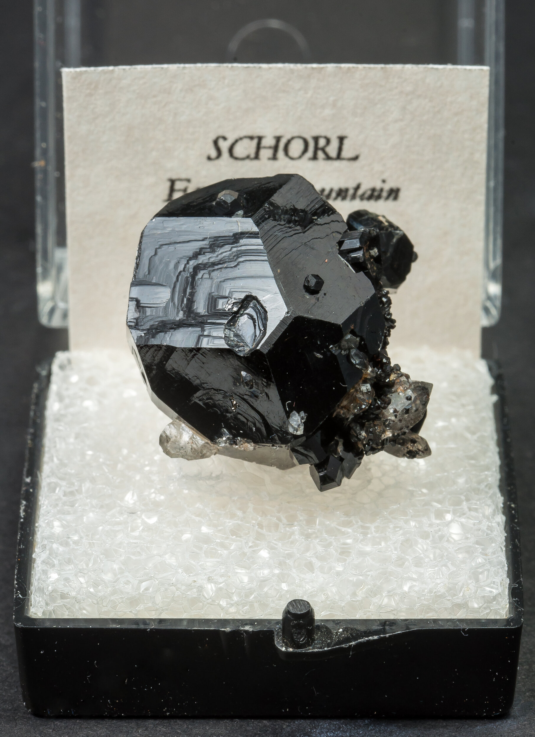 specimens/s_imagesAO0/Schorl-TJM13AO0f1.jpg