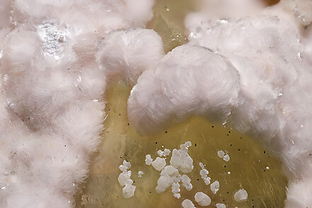 Shinichengite with Calcite. Detail / Photo: Joaquim Calln