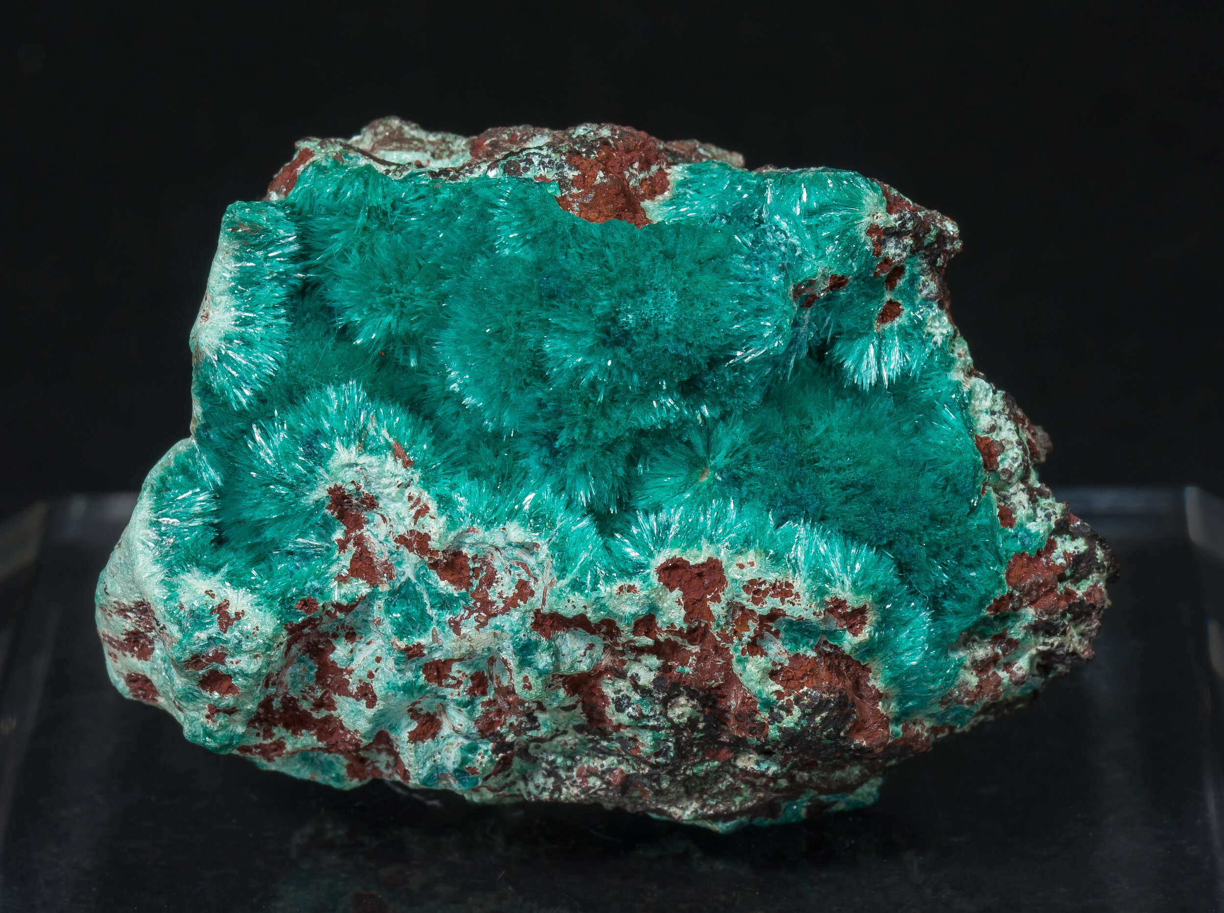 specimens/s_imagesAO1/Aurichalcite-CCB56AO1f.jpg