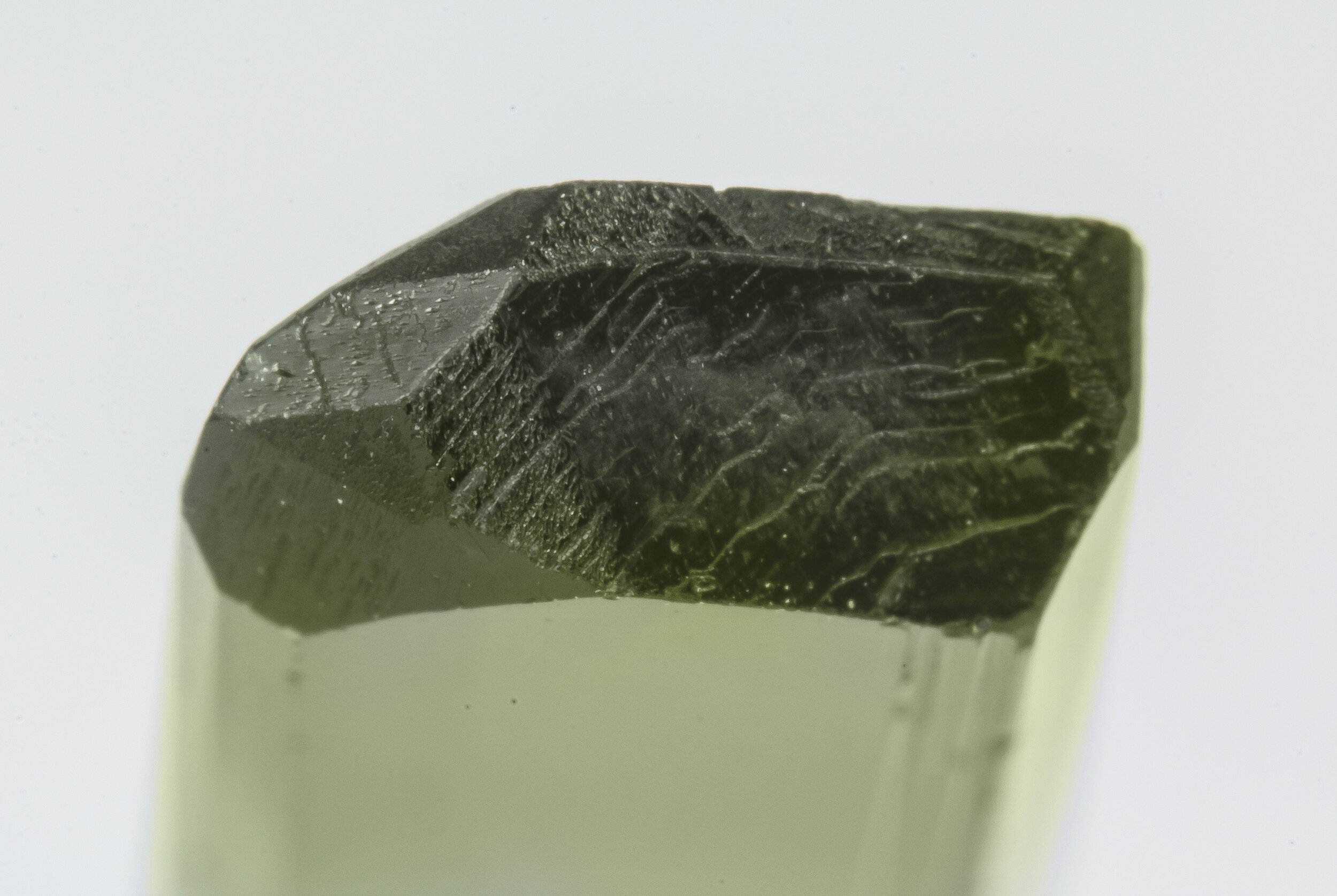 specimens/s_imagesAO1/Elbaite-CMP68AO1t.jpg