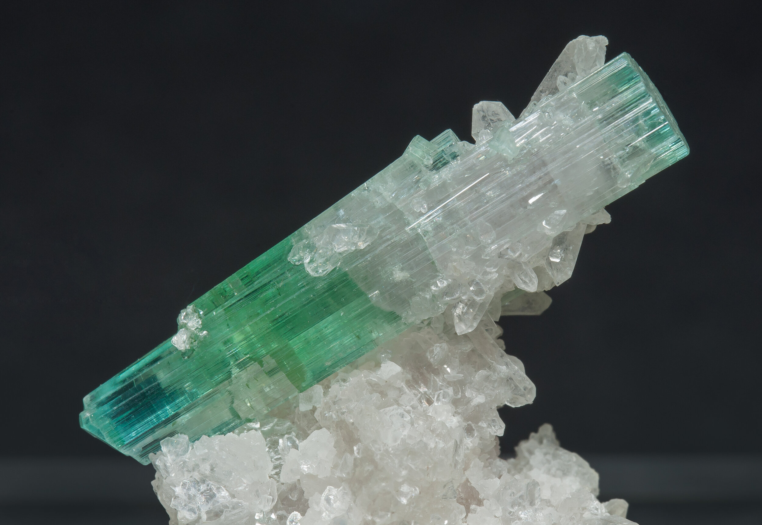 specimens/s_imagesAO1/Elbaite-CPQ37AO1d.jpg