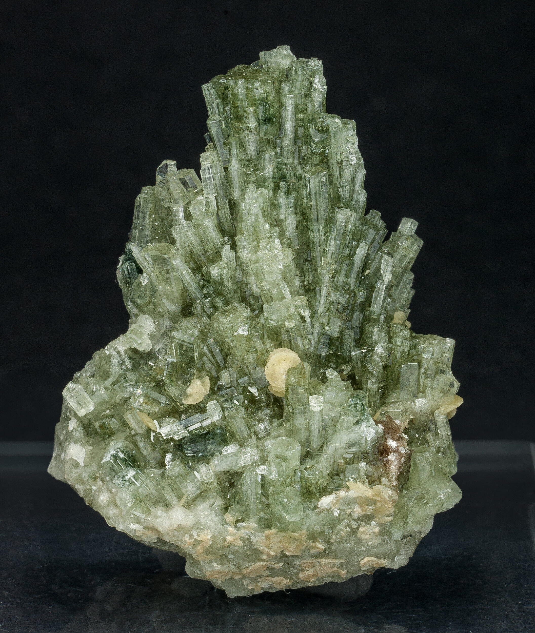 specimens/s_imagesAO1/Fluorapatite-JFD91AO1f.jpg