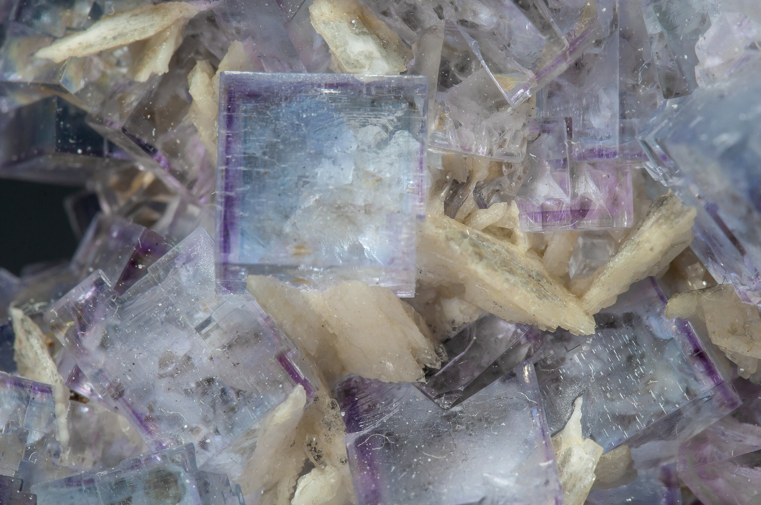 specimens/s_imagesAO1/Fluorite-JFD90AO1d3.jpg