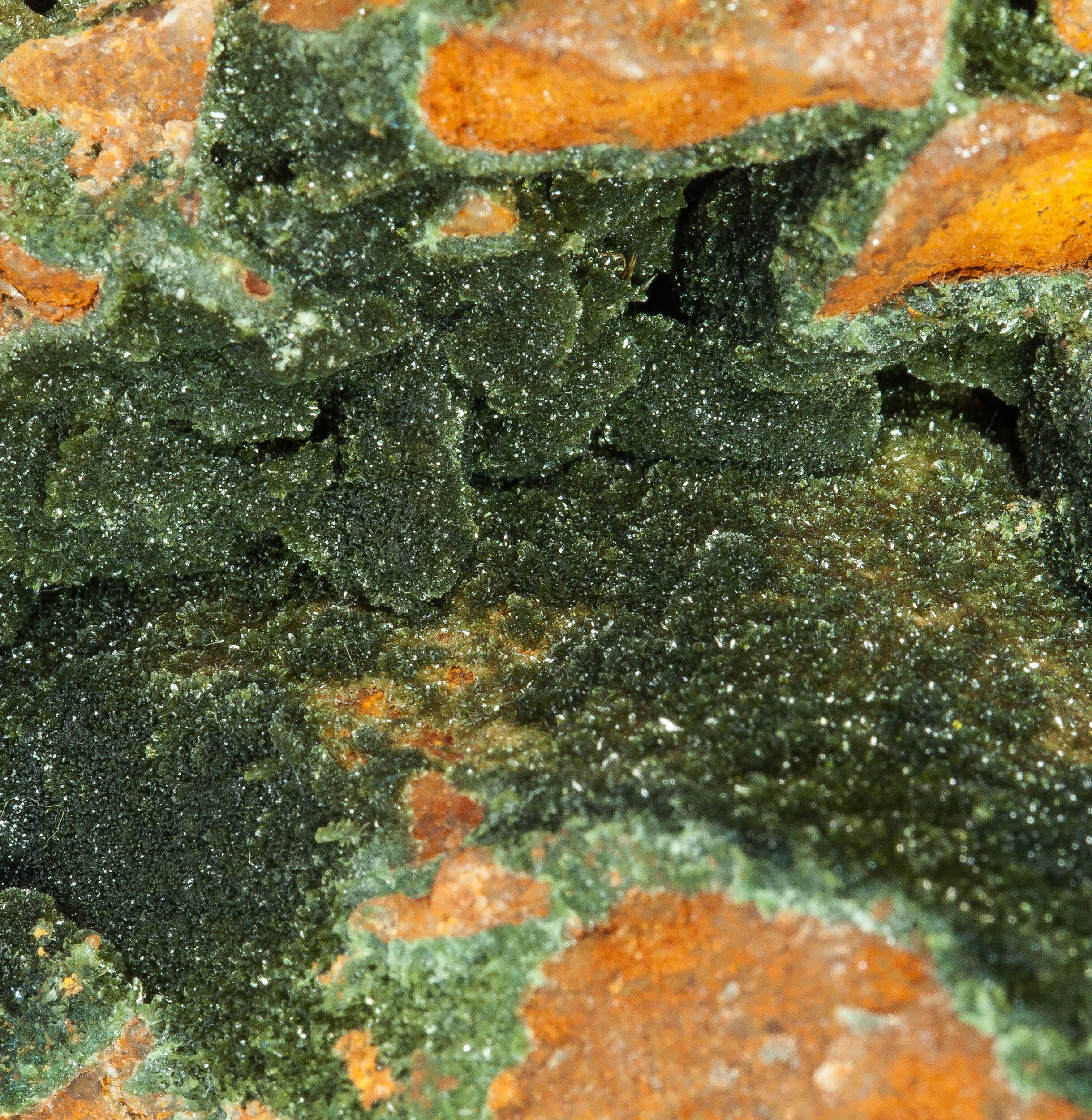 specimens/s_imagesAO1/Olivenite-ELP66AO1d.jpg