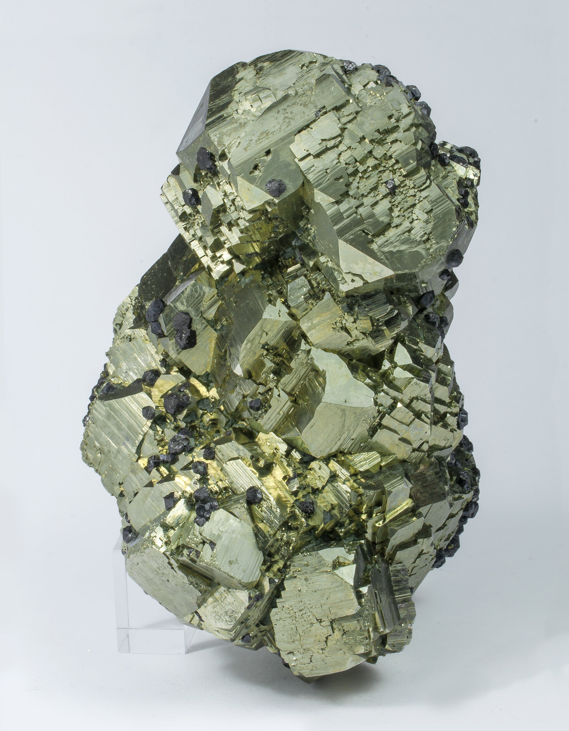 specimens/s_imagesAO1/Pyrite-EMF96AO1s.jpg