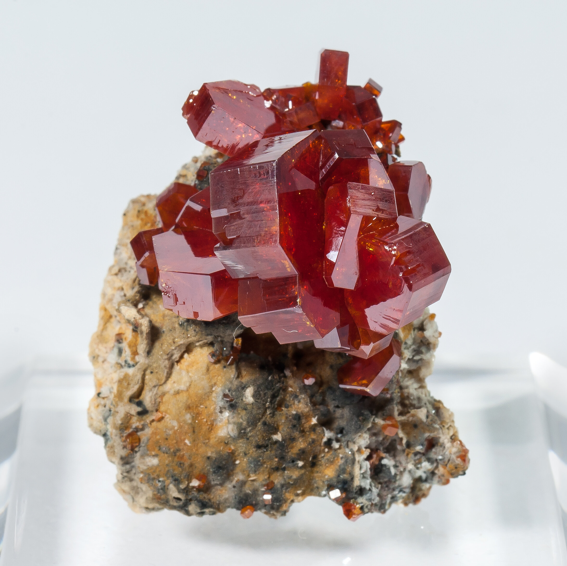 specimens/s_imagesAO1/Vanadinite-ARM36AO1f.jpg