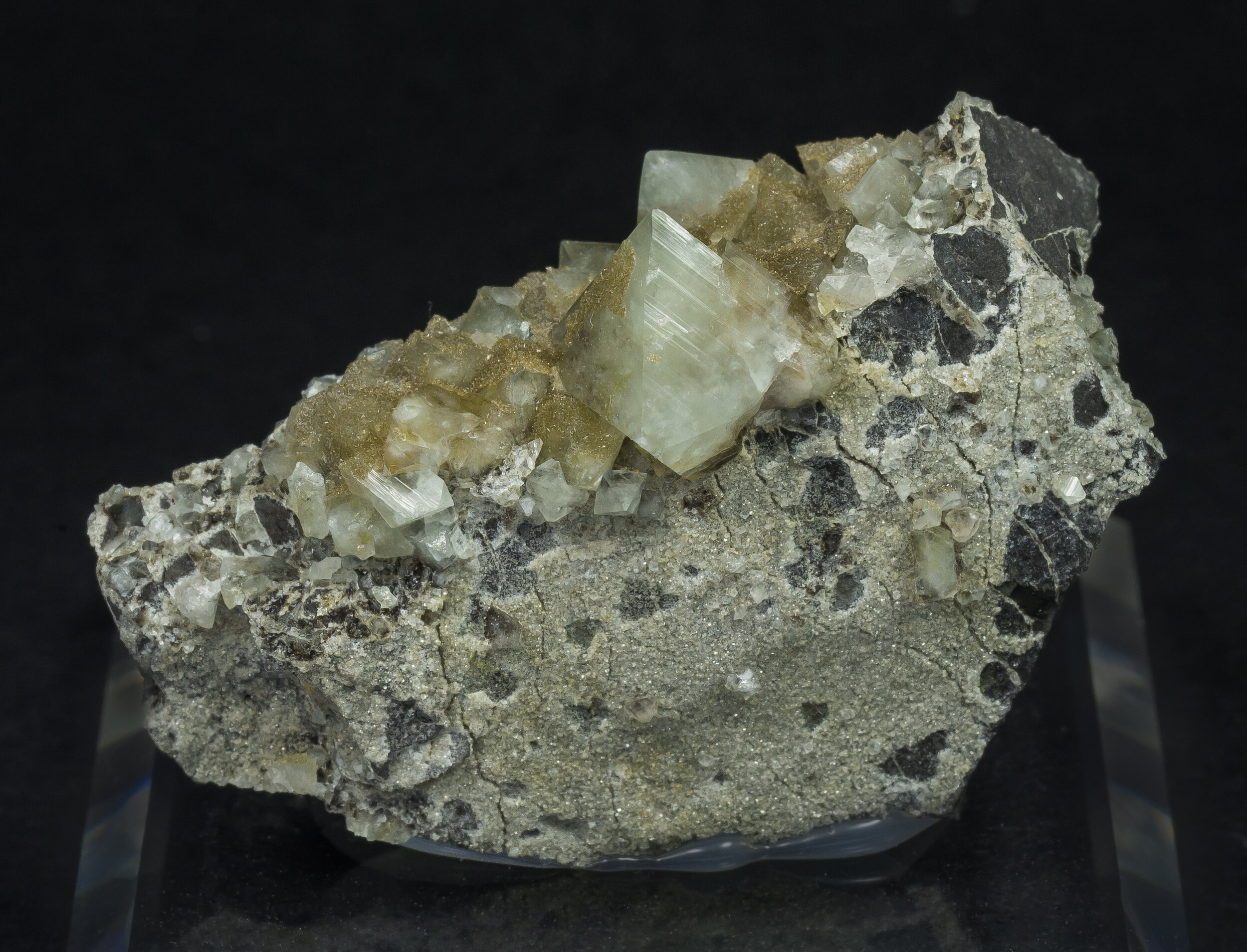 specimens/s_imagesAO1/Wardite-MBB56AO1f.jpg