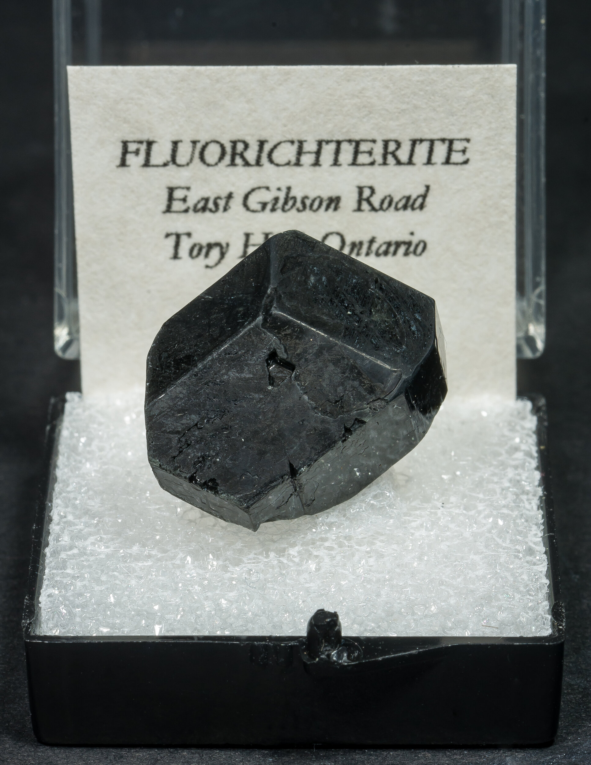 specimens/s_imagesAO2/Fluorichterite-TBM16AO2f.jpg