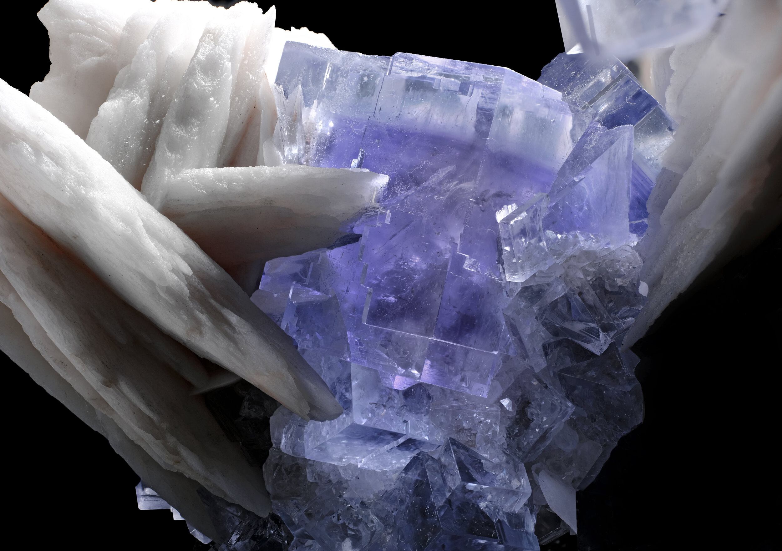 specimens/s_imagesAO2/Fluorite-JFD98AO2_0002_d.jpg