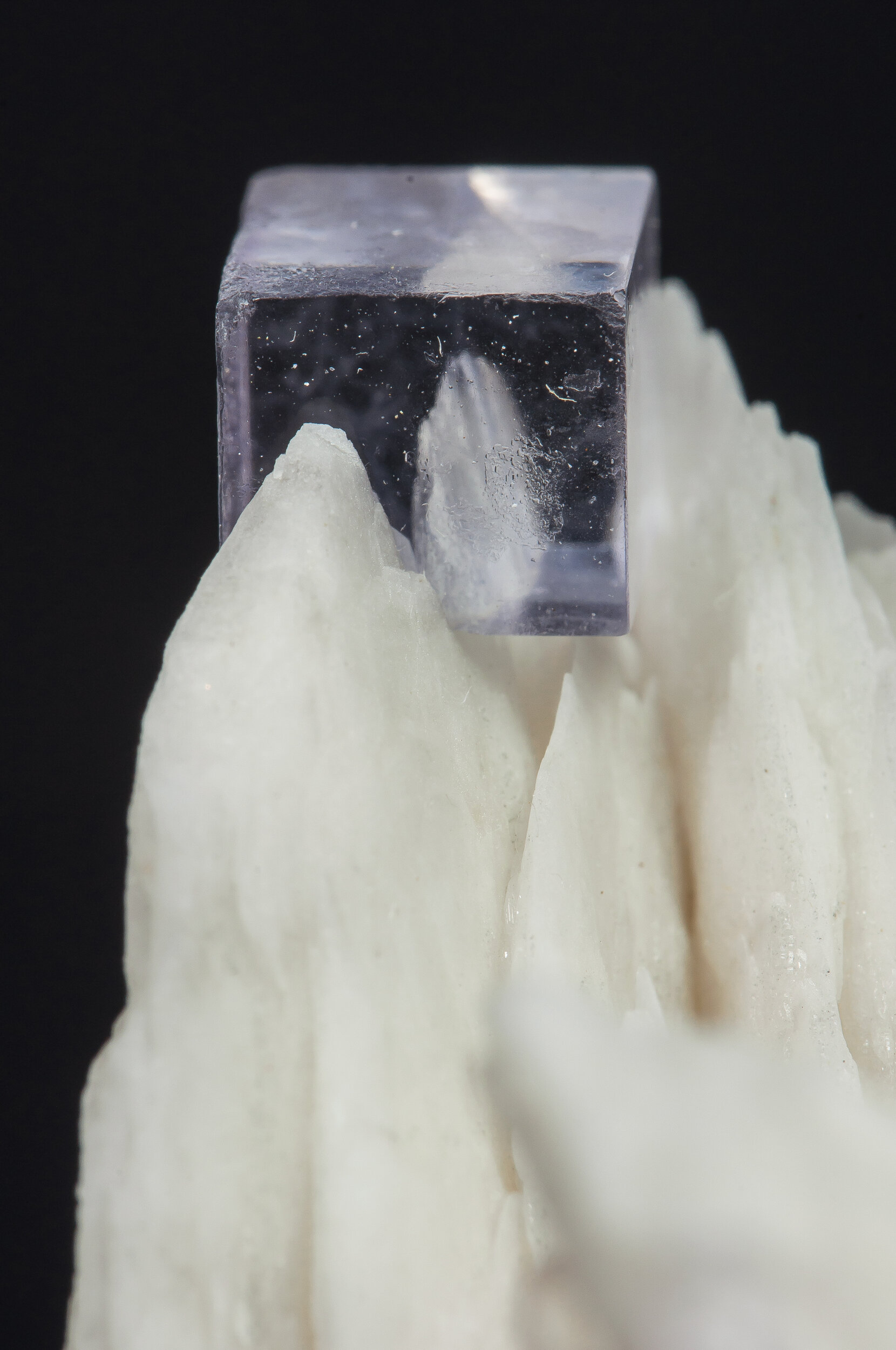 specimens/s_imagesAO2/Fluorite-JFD98AO2d1.jpg