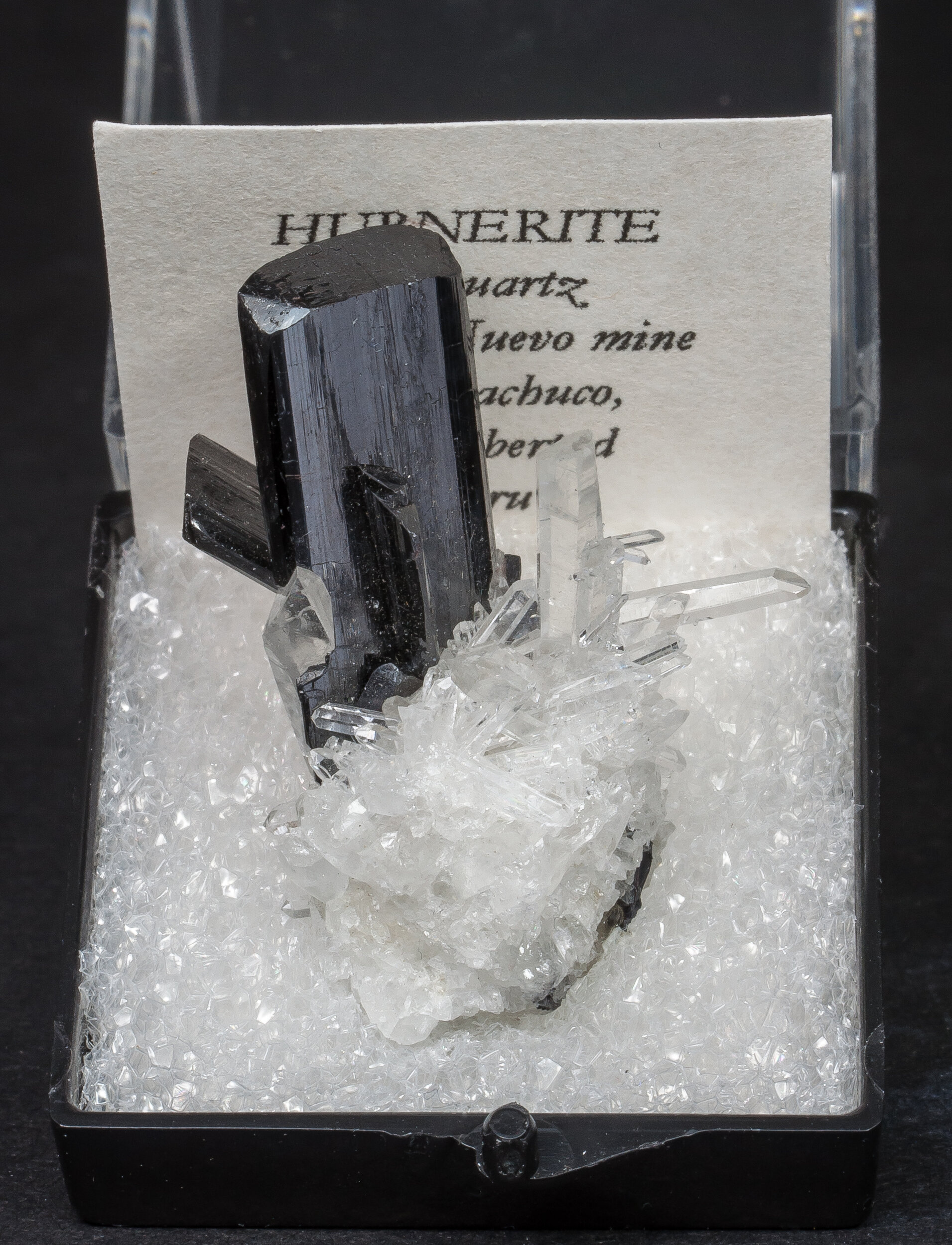 specimens/s_imagesAO2/Hubnerite-TZE56AO2f.jpg
