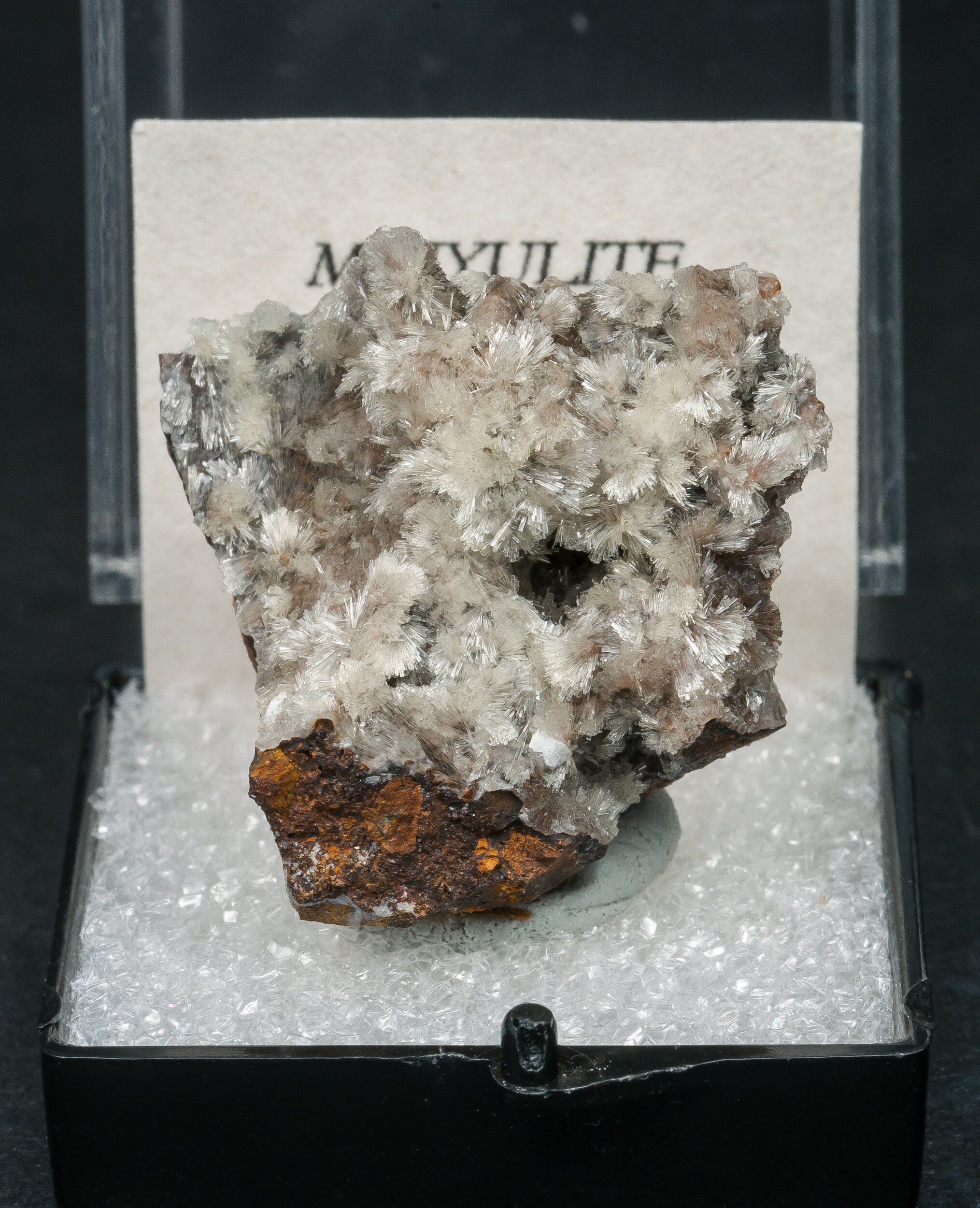 specimens/s_imagesAO2/Minyulite-TDM76AO2f.jpg