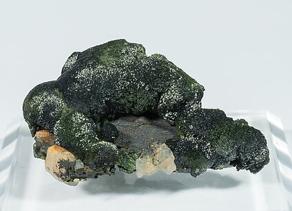 Olivenite. Front