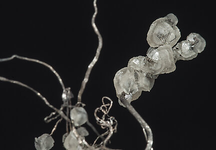 Silver with Calcite. Detail / Photo: Joaquim Calln