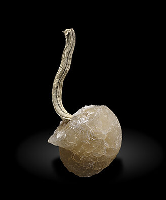 Silver with Calcite. Front / Photo: Joaquim Calln