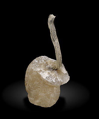 Silver with Calcite. Rear / Photo: Joaquim Calln