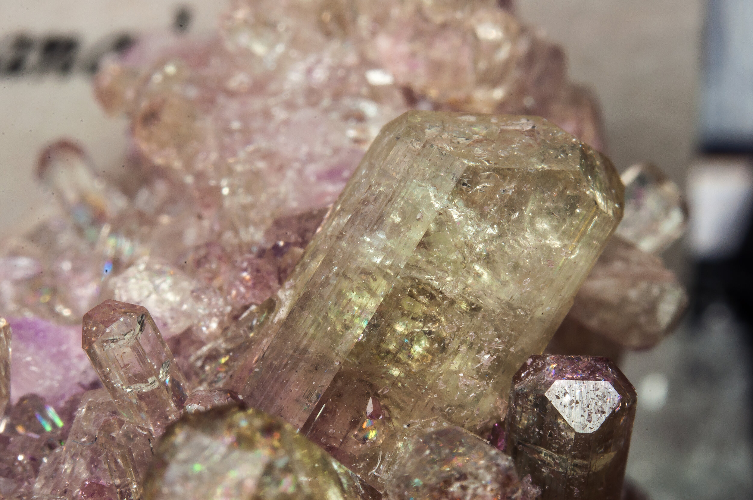 specimens/s_imagesAO2/Vesuvianite-TTR46AO2d.jpg