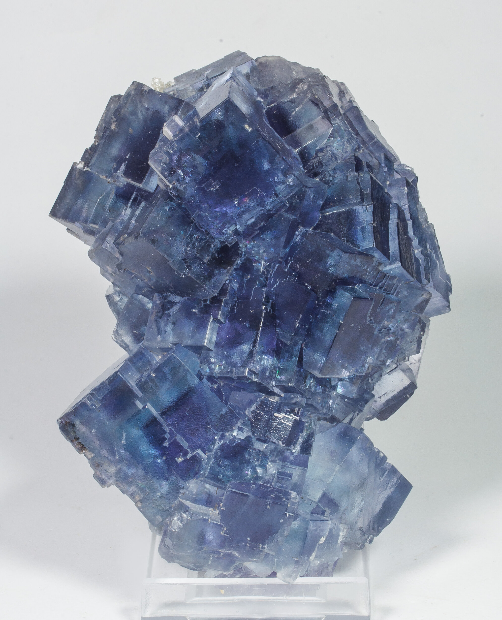 specimens/s_imagesAO3/Fluorite-JFD109AO3f.jpg