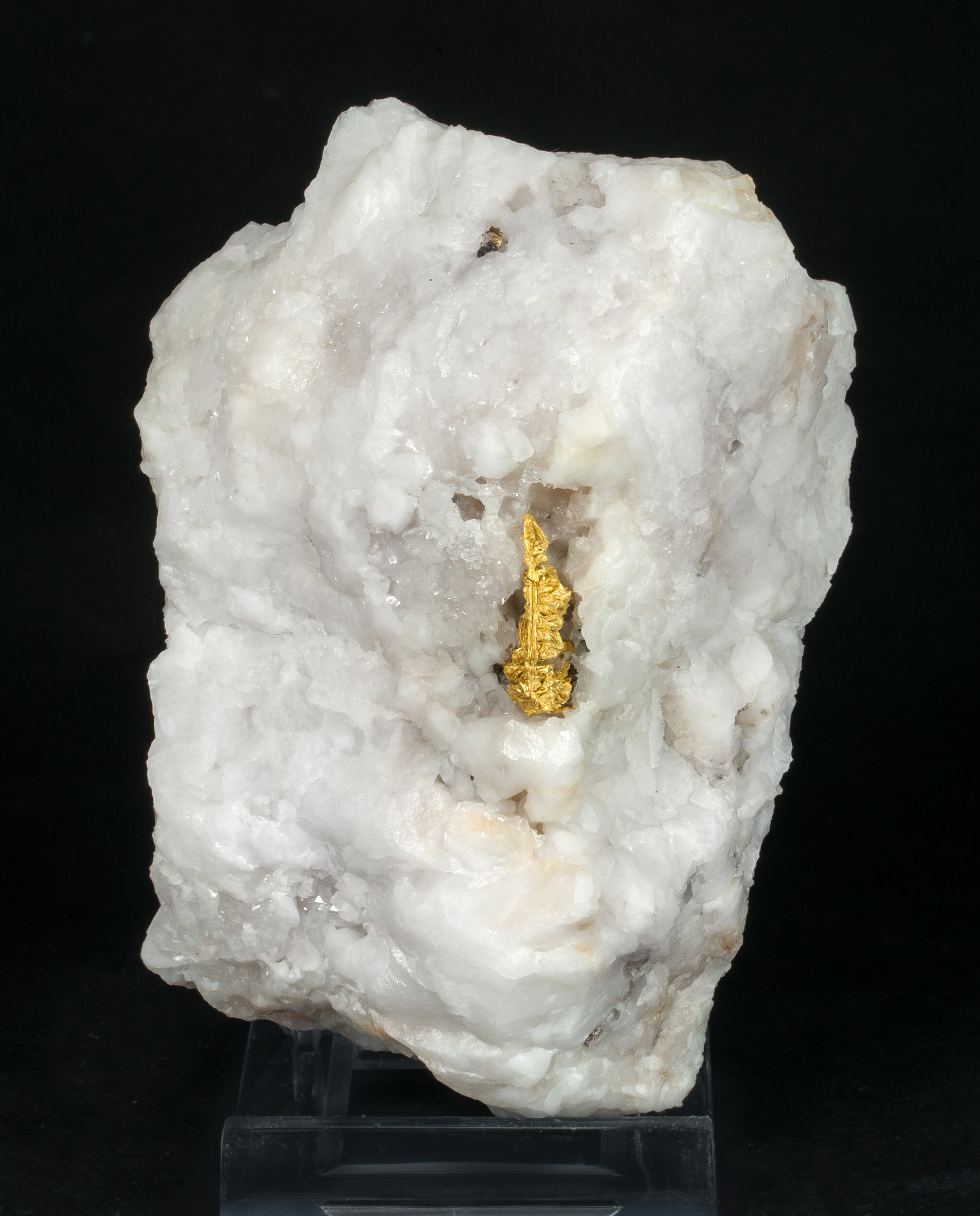 specimens/s_imagesAO3/Gold-NFR86AO3f2.jpg