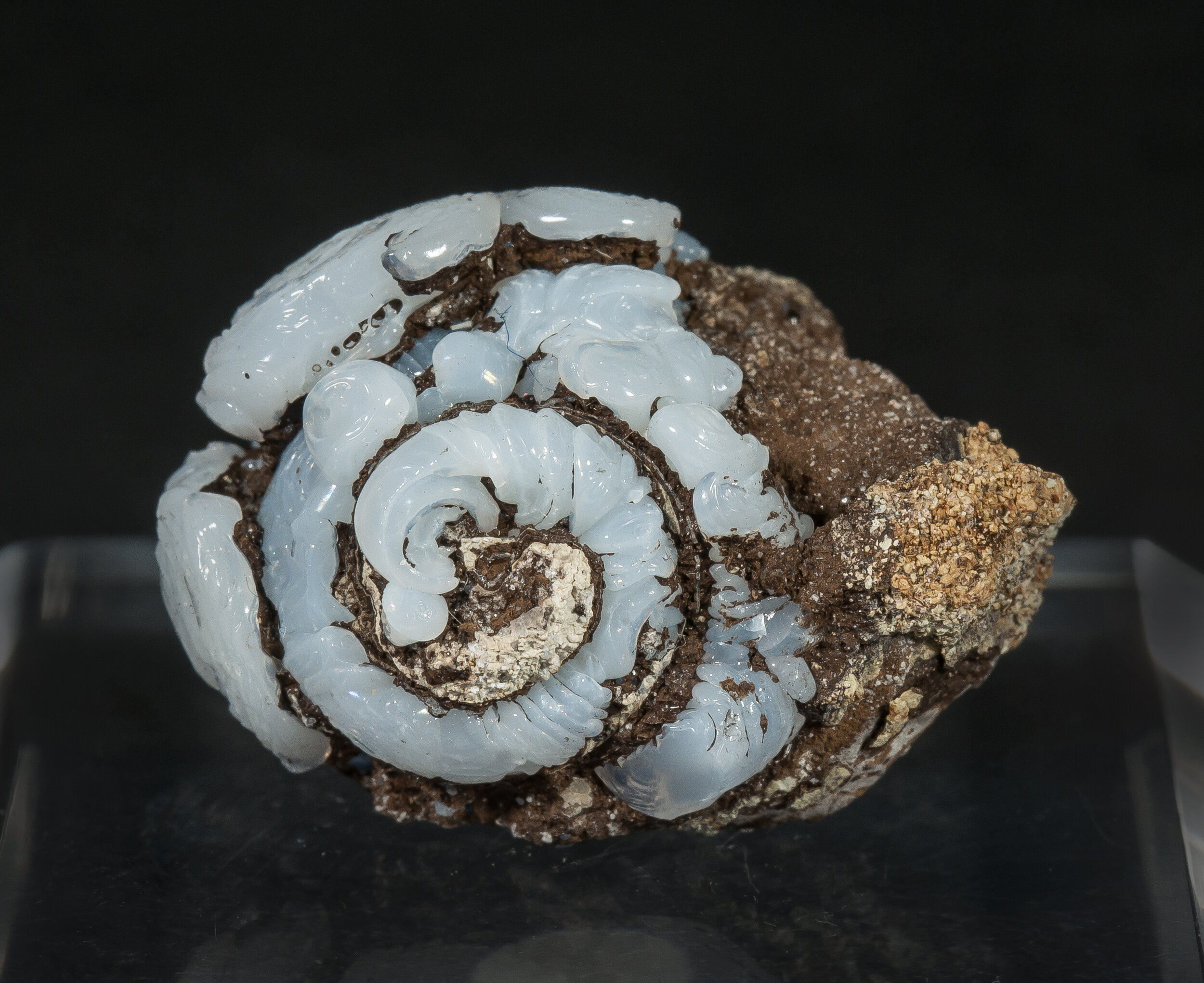 specimens/s_imagesAO3/Opal-CT-MFL86AO3f.jpg