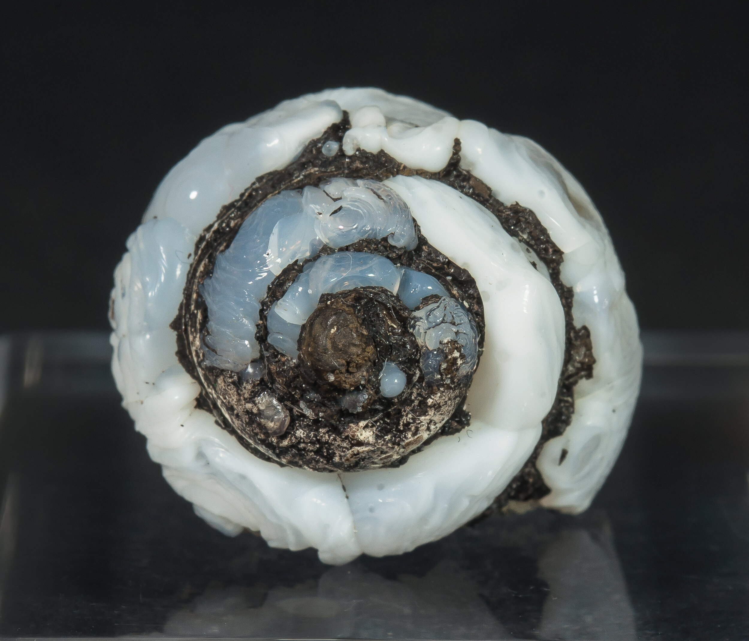 specimens/s_imagesAO3/Opal-CT-MRR57AO3f.jpg