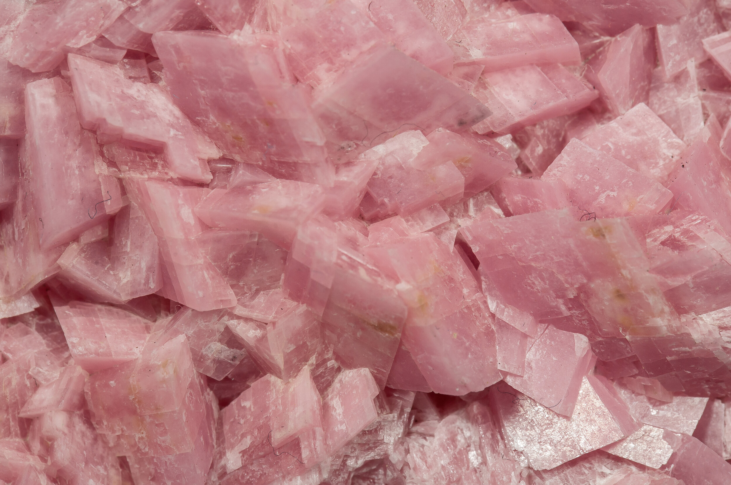 specimens/s_imagesAO3/Rhodochrosite-TH6AO3d.jpg
