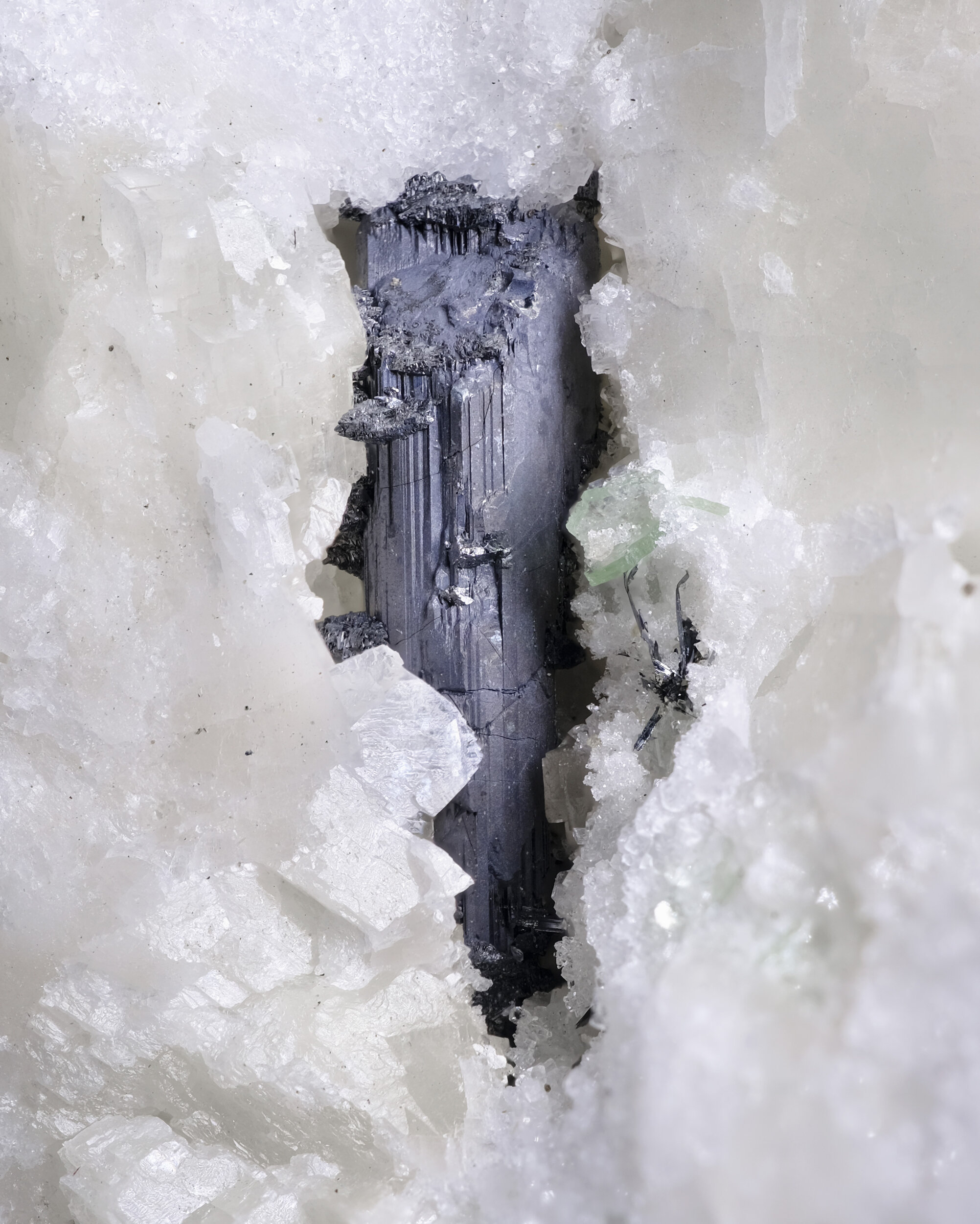 specimens/s_imagesAO3/Scleroclase-MCT97AO3-0041d.jpg