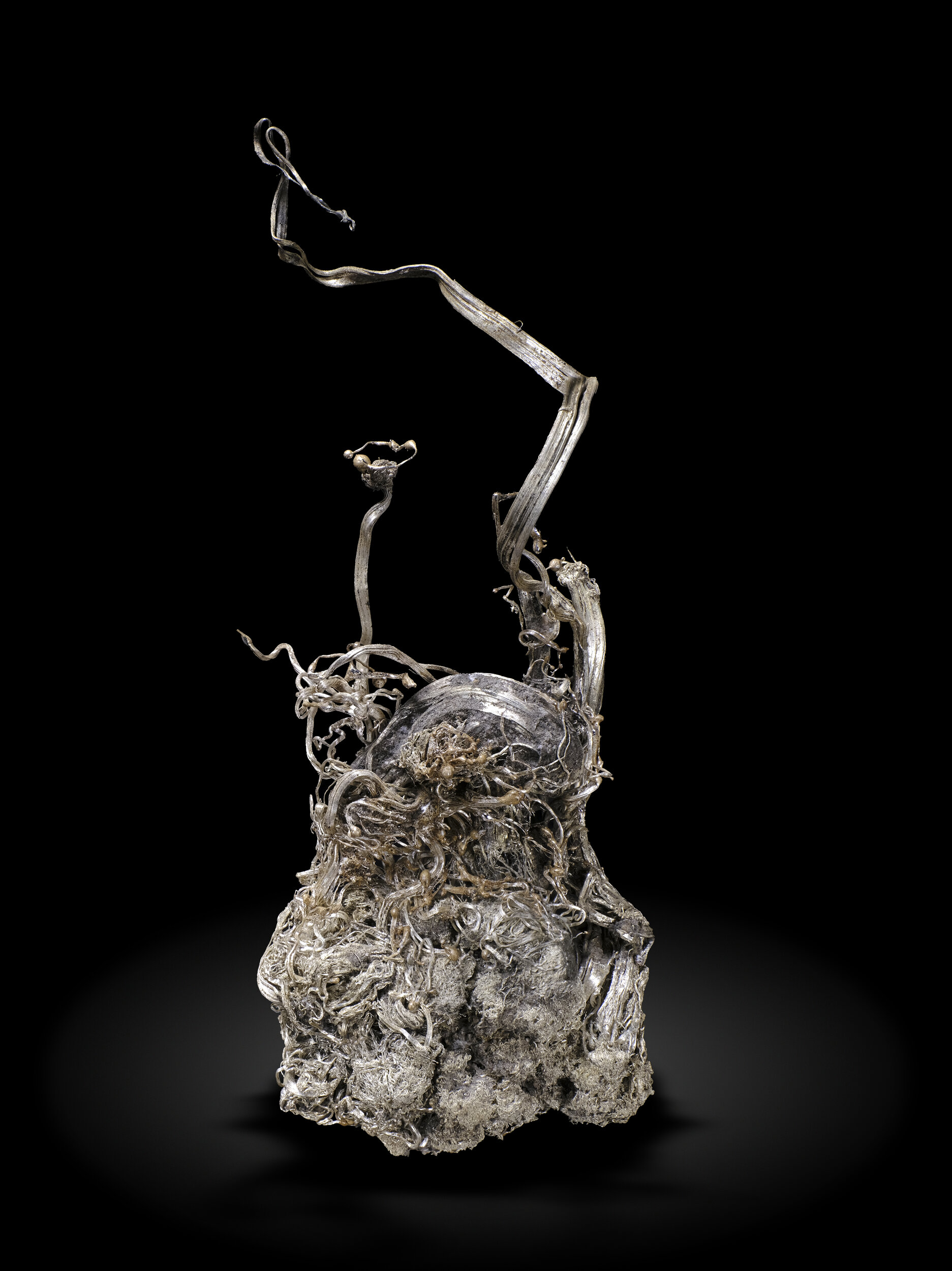 specimens/s_imagesAO3/Silver-TTX10AO3_9058_r.jpg