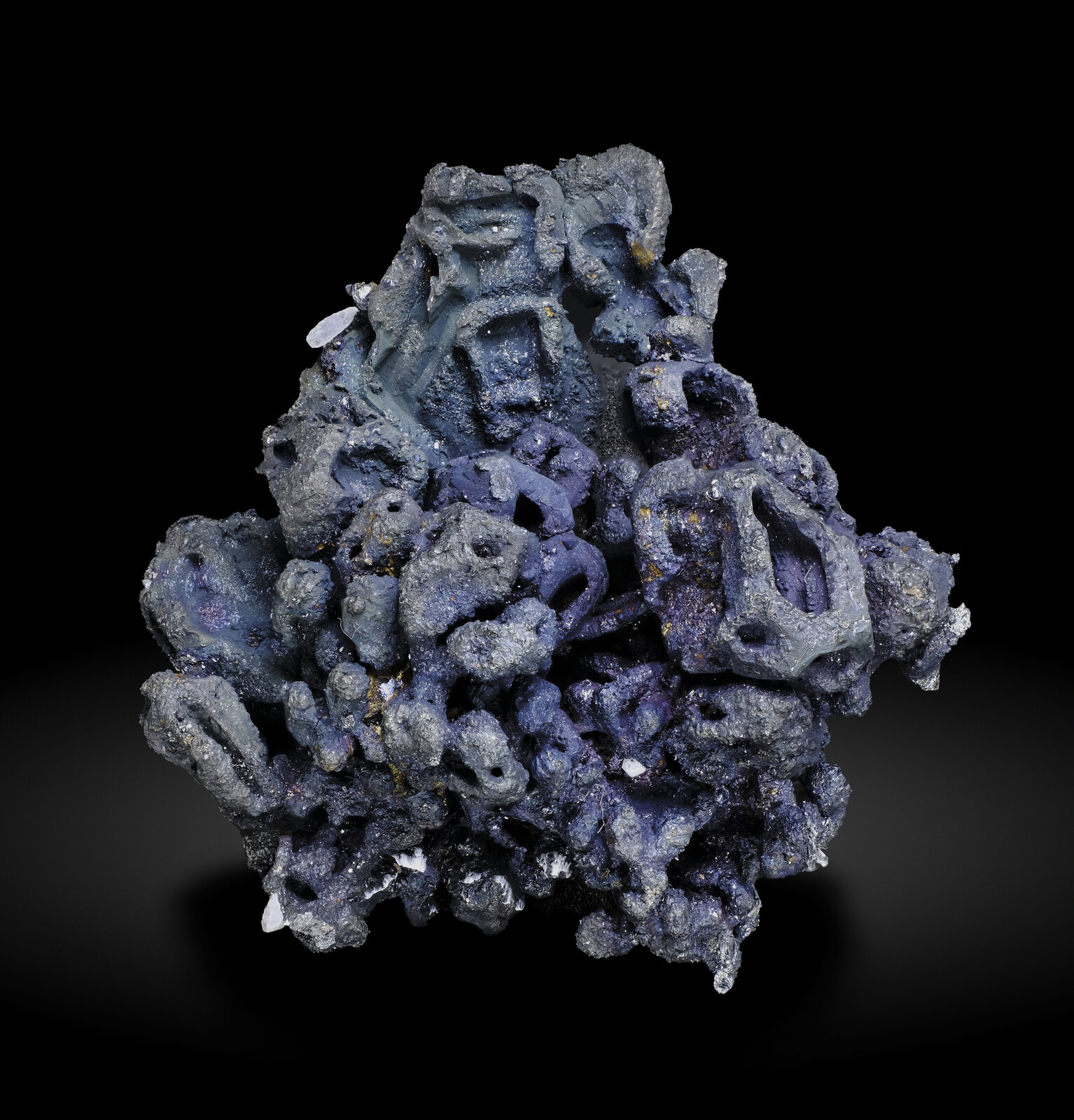 specimens/s_imagesAO4/Aguilarile-TBB90AO4-5438r.jpg