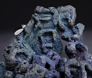 Aguilarite with Covellite. Detail / Photo: Joaquim Calln