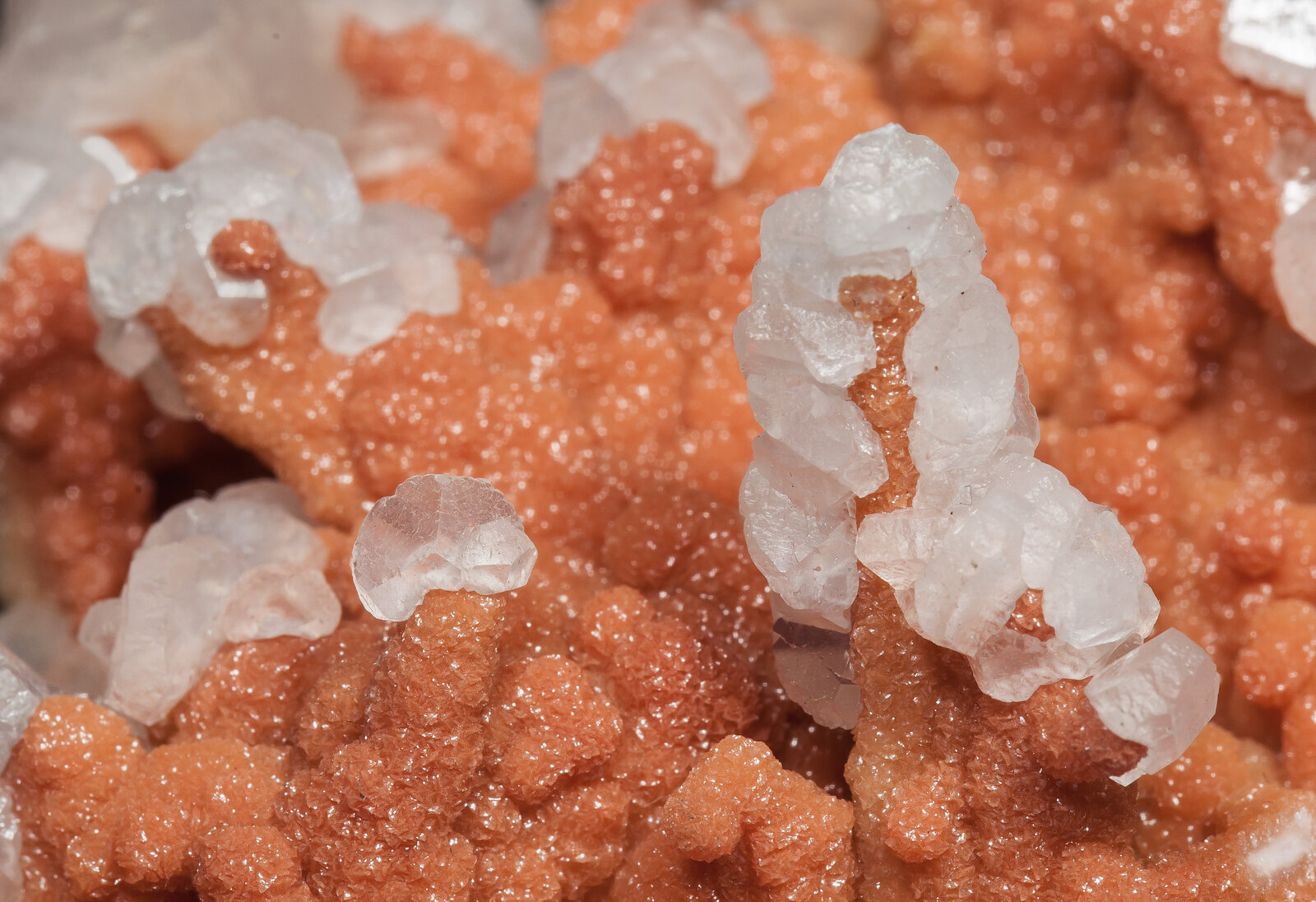 specimens/s_imagesAO4/Calcite-TXM86AO4d.jpg