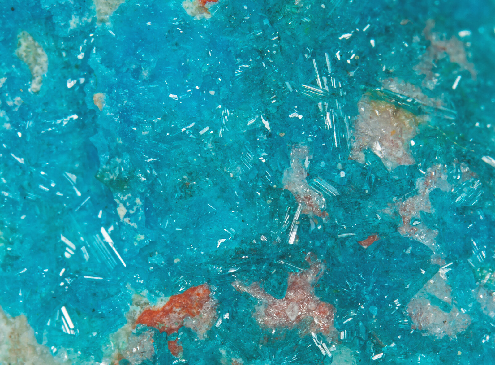 specimens/s_imagesAO4/Caledonite-MRB37AO4d.jpg