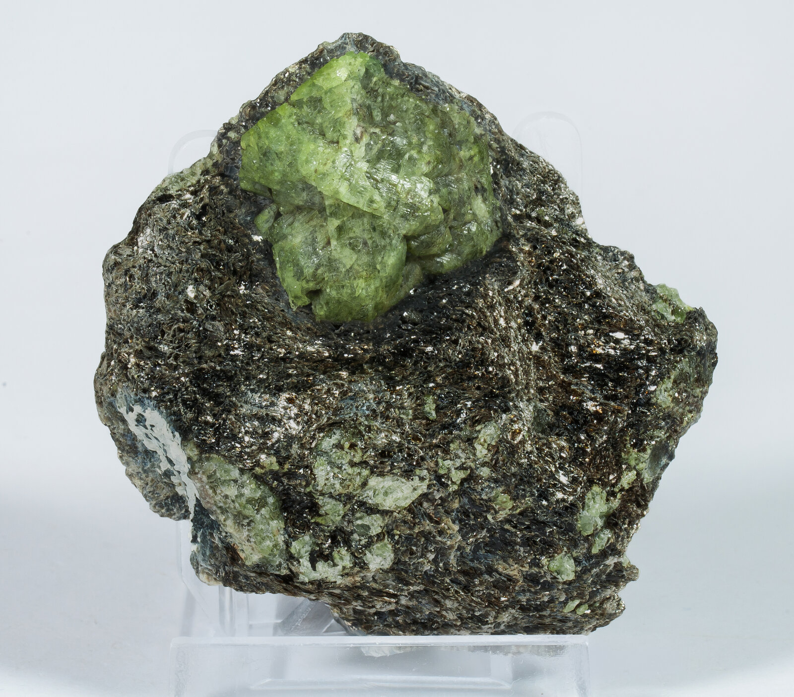 specimens/s_imagesAO4/Chrysoberyl-TBA16AO4f.jpg