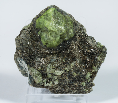 Chrysoberyl on Phlogopite. 