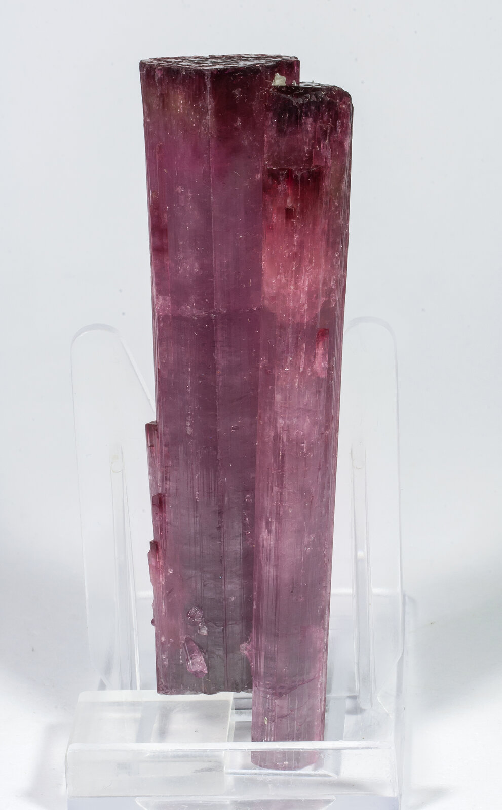 specimens/s_imagesAO4/Elbaite-NRT96AO4f.jpg