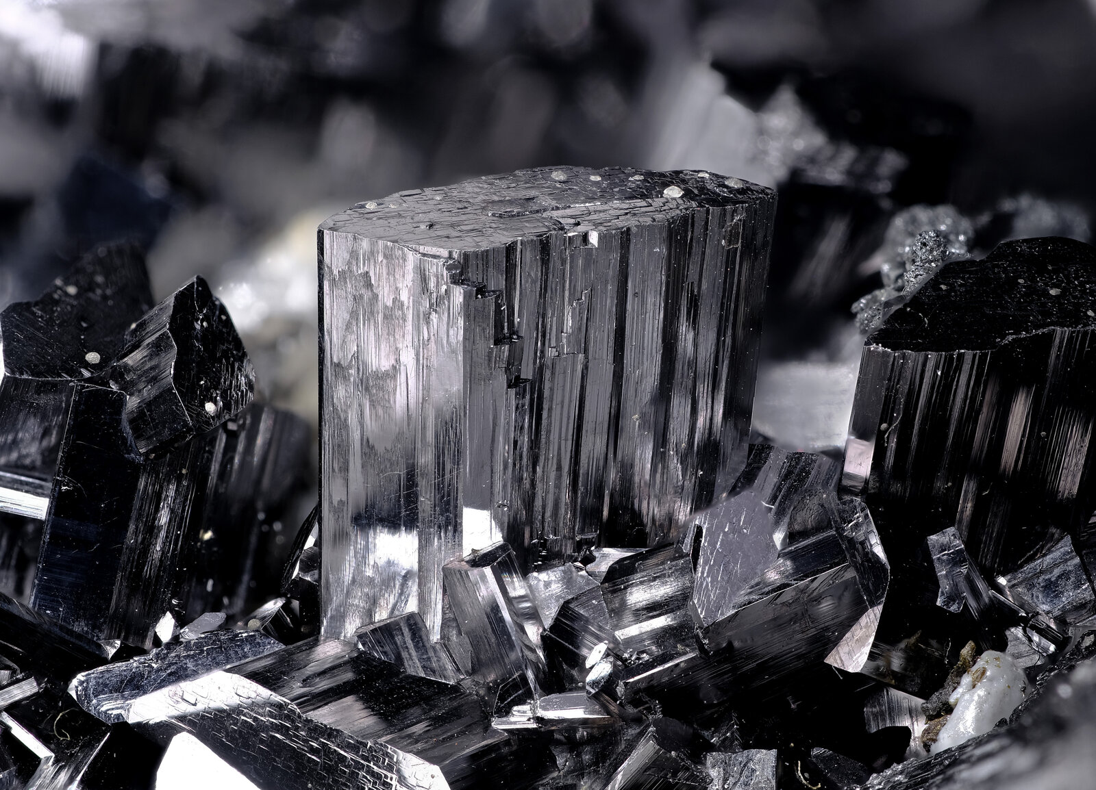 specimens/s_imagesAO4/Enargite-TPB72AO4-7310d.jpg
