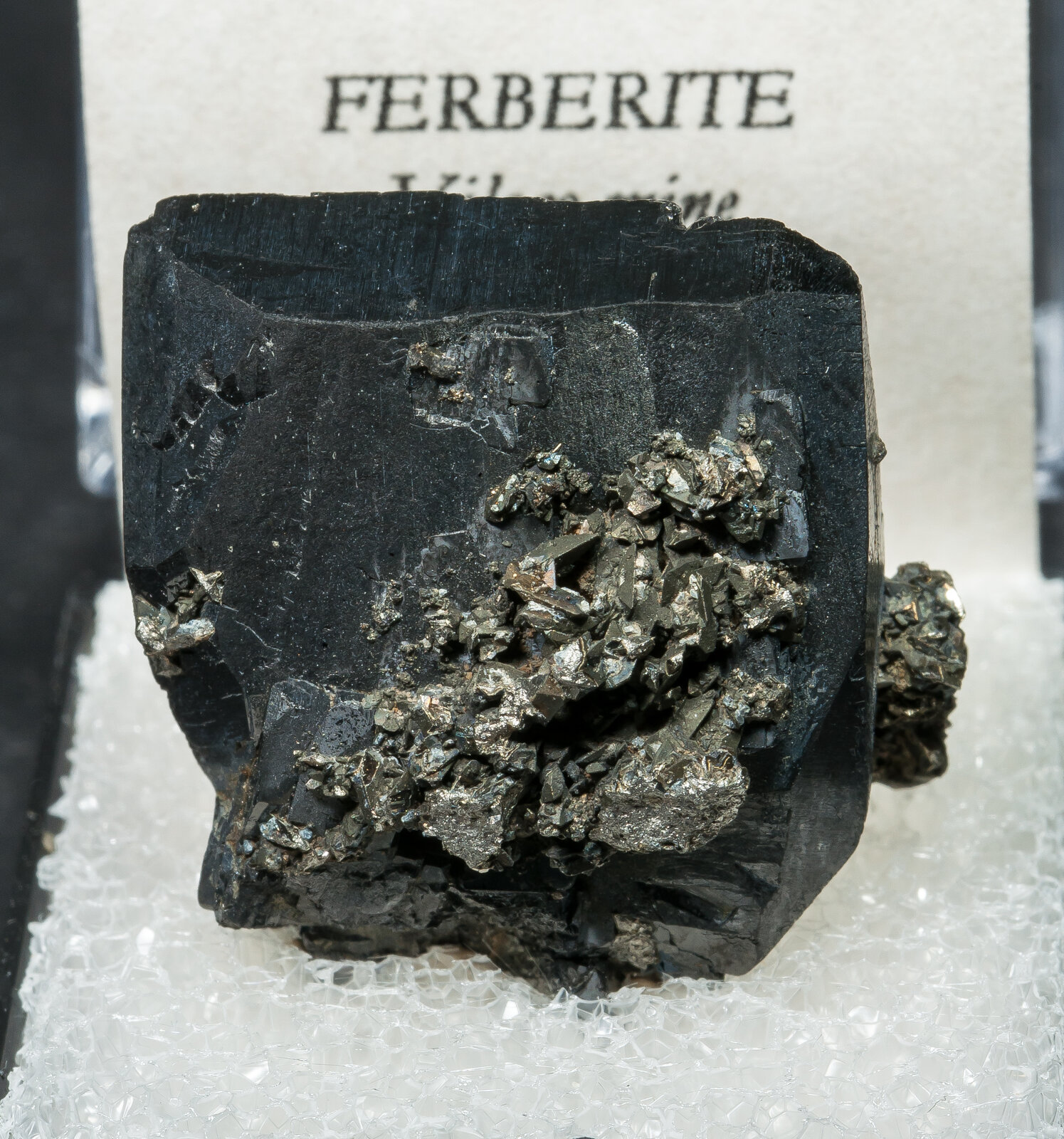 specimens/s_imagesAO4/Ferberite-TXF14AO4f2.jpg