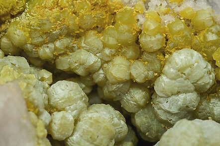 Pyromorphite (variety As-bearing pyromorphite). 