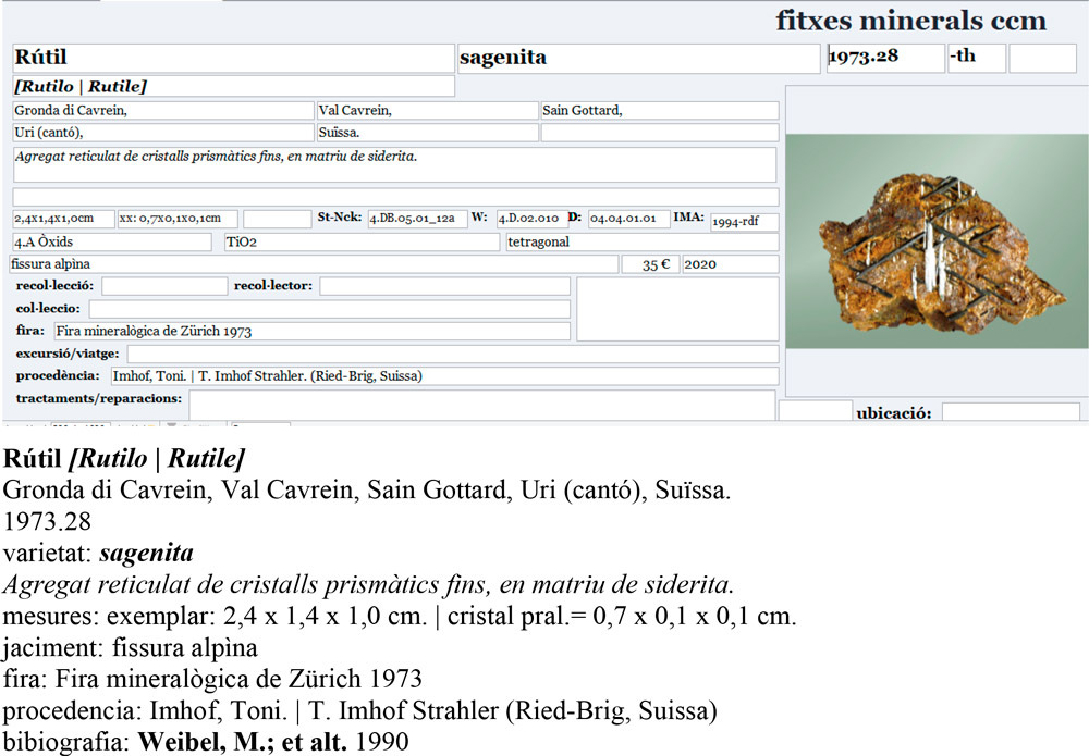 specimens/s_imagesAO4/Rutile-CFM13AO4e.jpg