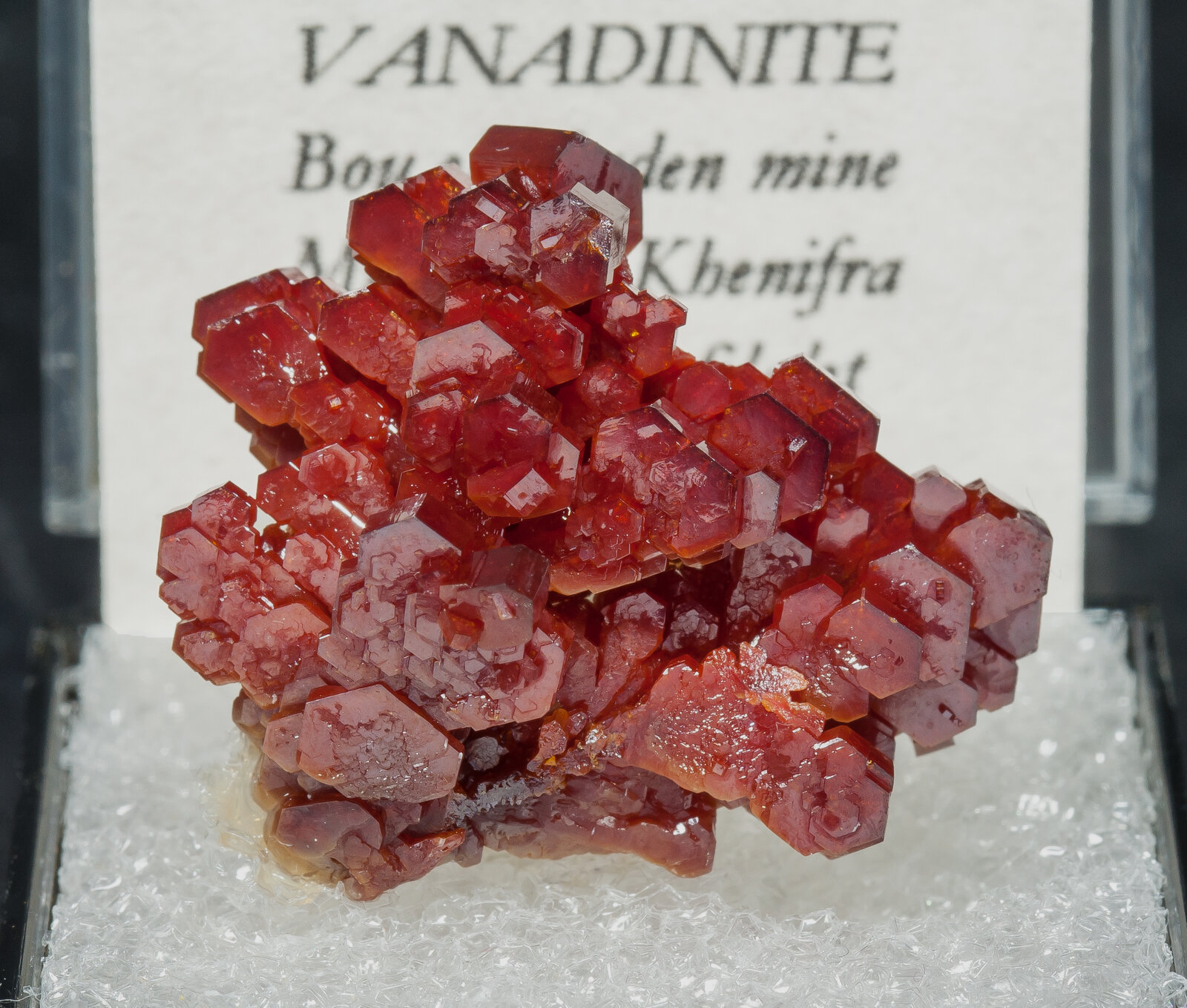 specimens/s_imagesAO4/Vanadinite-TRR14AO4f2.jpg